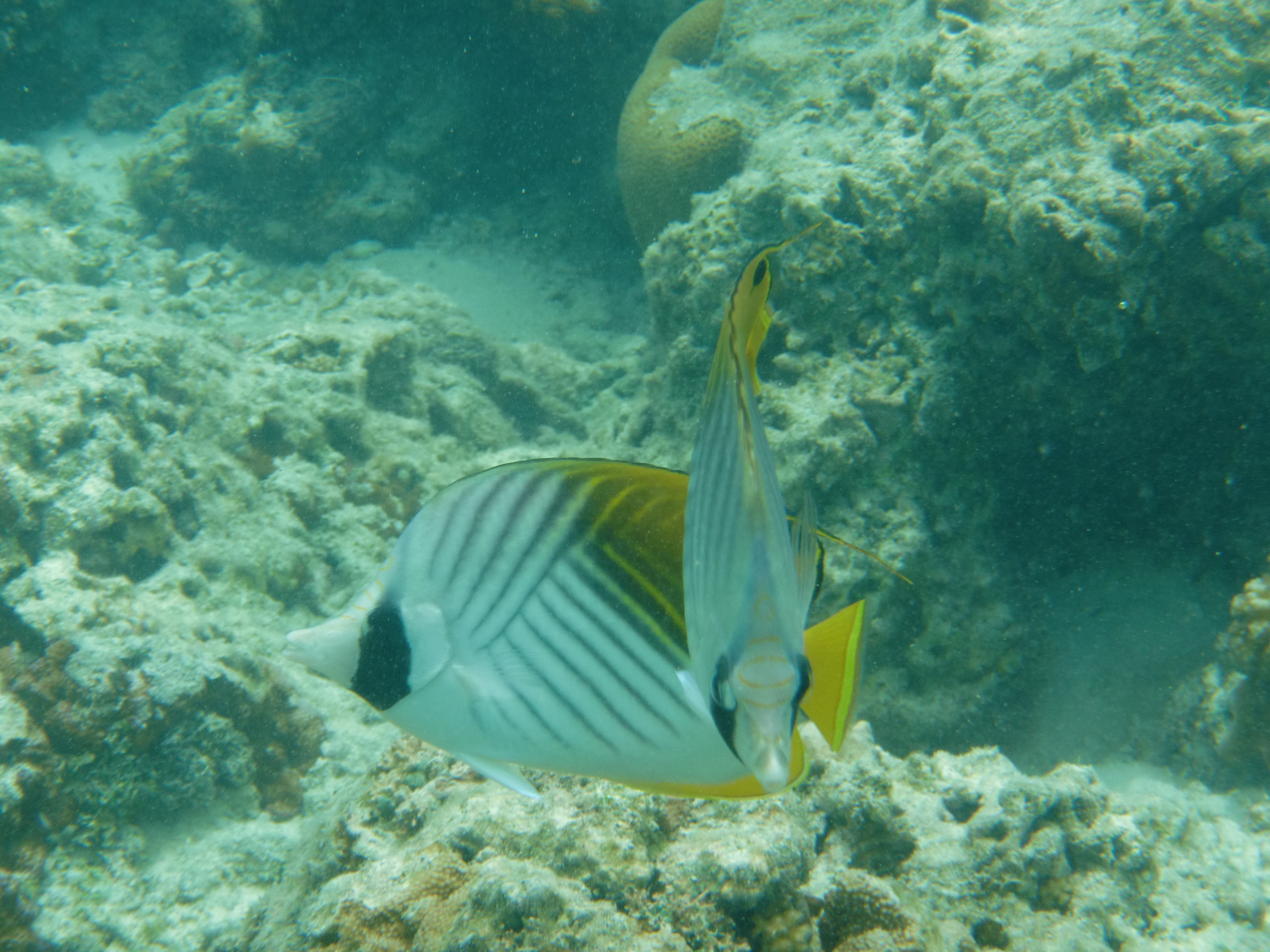 <b>EX-G1 / 約6.5MB / 4,000×3,000 / 1/400秒 / F4.8 / 0EV / ISO64 / WB:オート / 13.9mm（オートベストショット）</b>