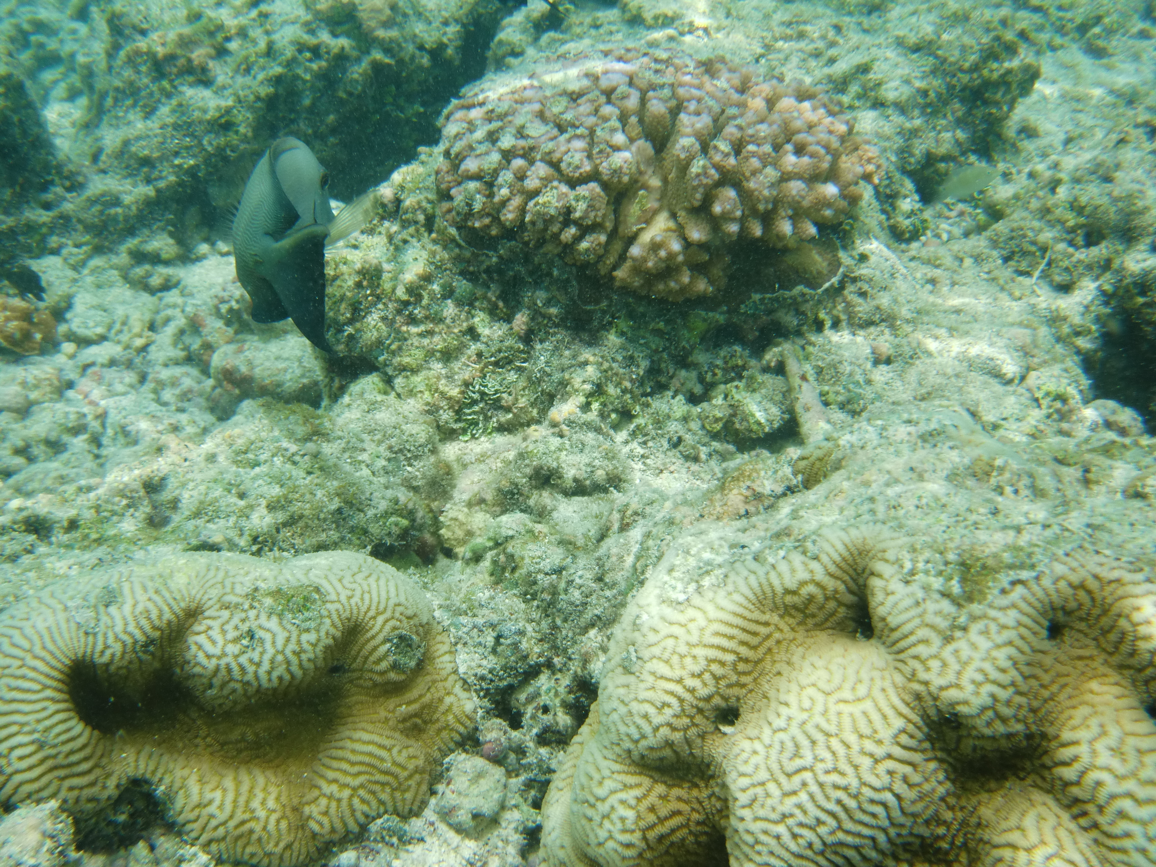 <b>EX-G1 / 約7.7MB / 4,000×3,000 / 1/400秒 / F4 / 0EV / ISO64 / WB:オート / 7.3mm（オートベストショット）</b>