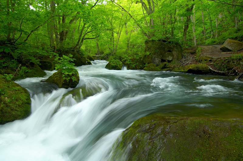 <b>阿修羅の流れ （画像提供：奥入瀬清流ホテル）</b>