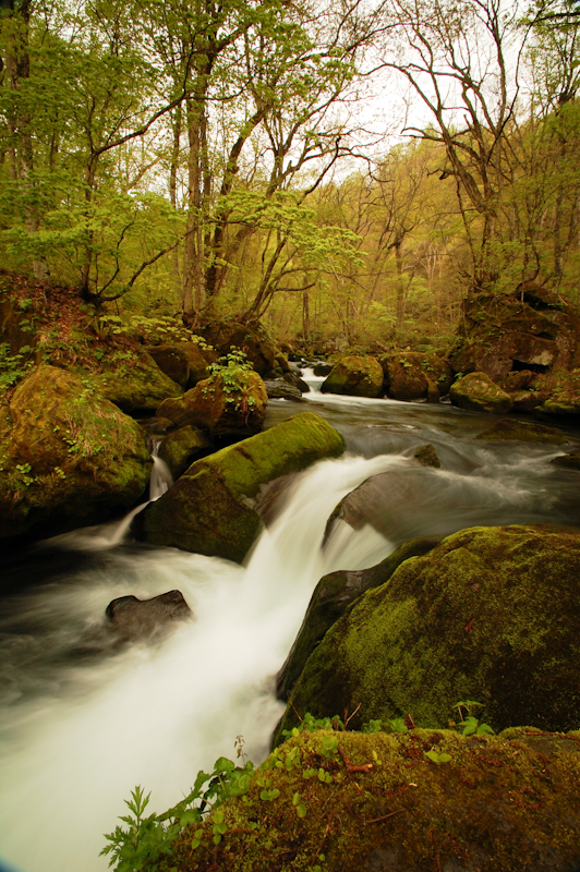 <b>阿修羅の流れ （画像提供：奥入瀬渓流ホテル）</b>