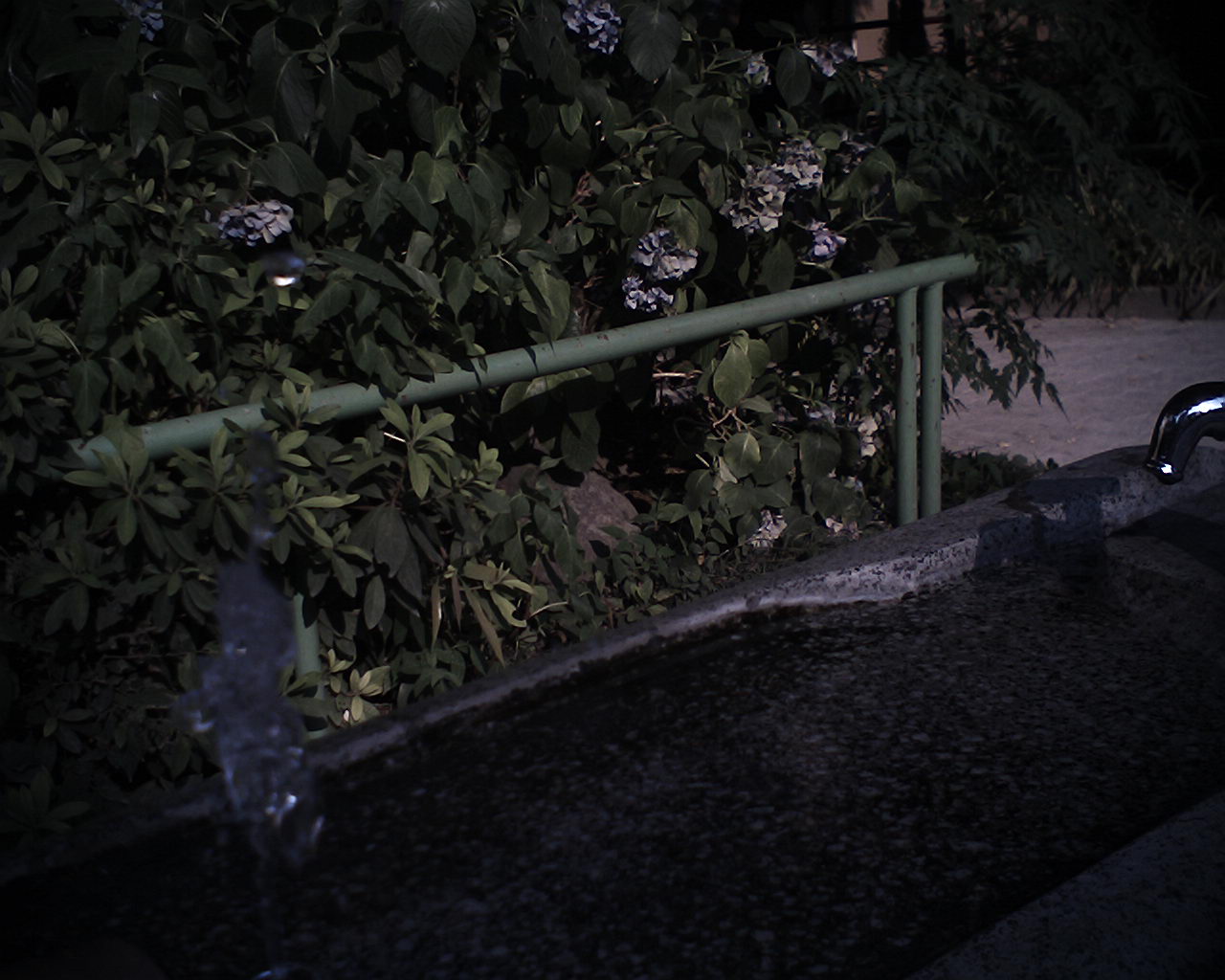 <b>シャッター速度：クイック<br>晴れた日中だったが、速いシャッター速度のためローキーな仕上りになった<br>VQ1015R2 / 1,280×1,024 / 1/273秒 / F2.8 / 0EV / ISO60 / オート / WB:オート</b>