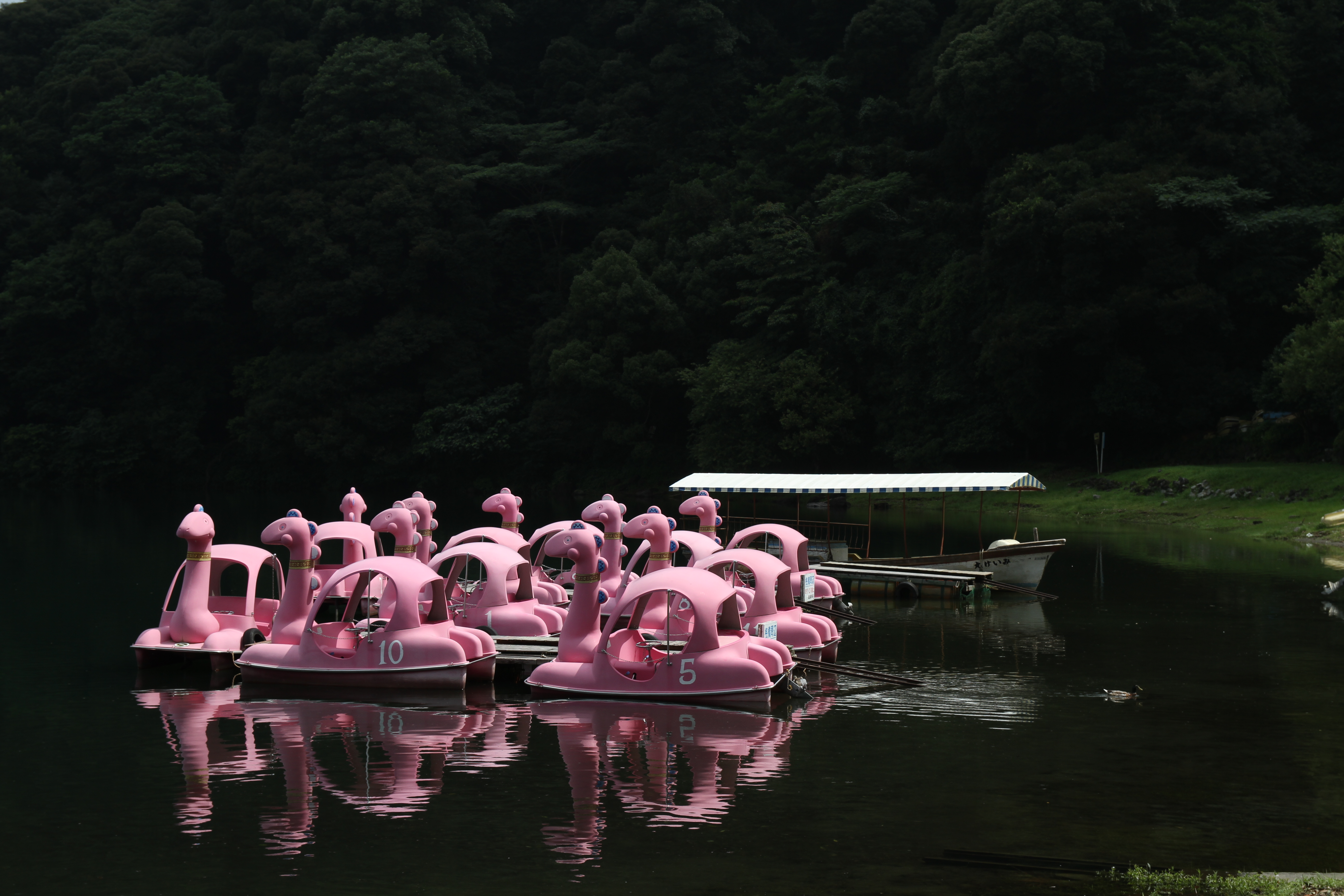 <b>EOS 7D / 17-50mm F2.8 EX DC OS HSM / 約4.1MB / 5,184×3,456 / 1/640秒 / F5.6 / -0.3EV / ISO100 / WB:オート / 43mm</b>