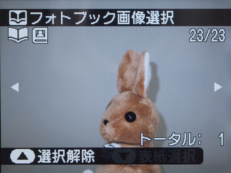 <b>画像をプレビューしながら、使用する画像にチェックを付けていく</b>