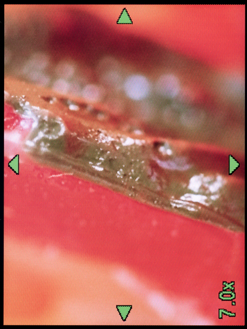 <b>十字ボタンで拡大したい部分を選んで「OK」ボタンで拡大/全画面の切り替えをやる。それにしても、もっと解像度の高い液晶モニターが欲しい</b>