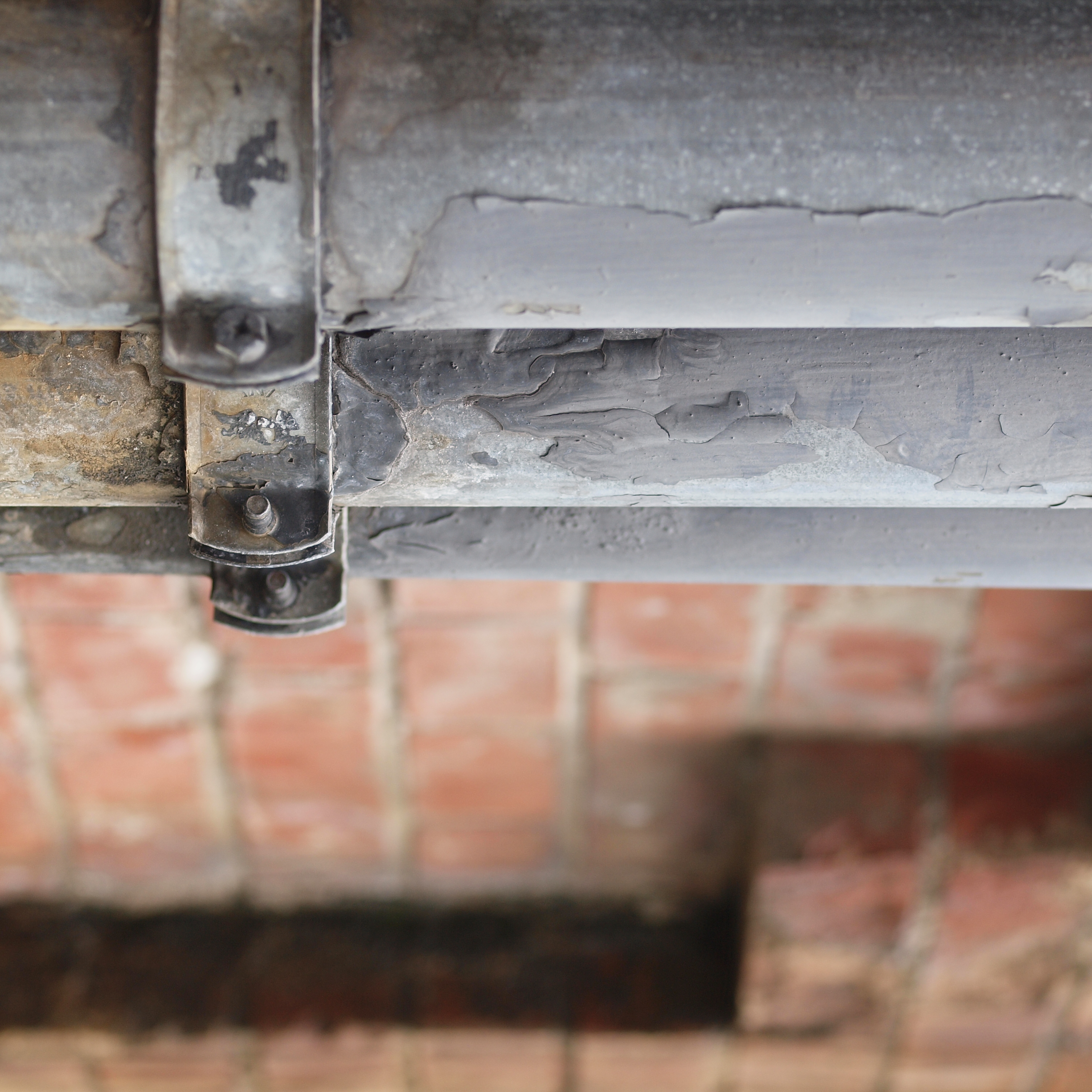 <b>シグマの50mmもいいレンズだけれど、この50mm F2 Macroも素敵な描写が楽しめる。マクロとしてはもちろん、寄れる中望遠としても価値あり<br>E-620 / ZUIKO DIGITAL ED 50mm F2 Macro / 3,024×3,024 / 1/60秒 / F4 / 0.7EV / ISO200 / WB:太陽光</b>