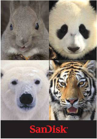 <b>バッグ裏面のデザイン</b>