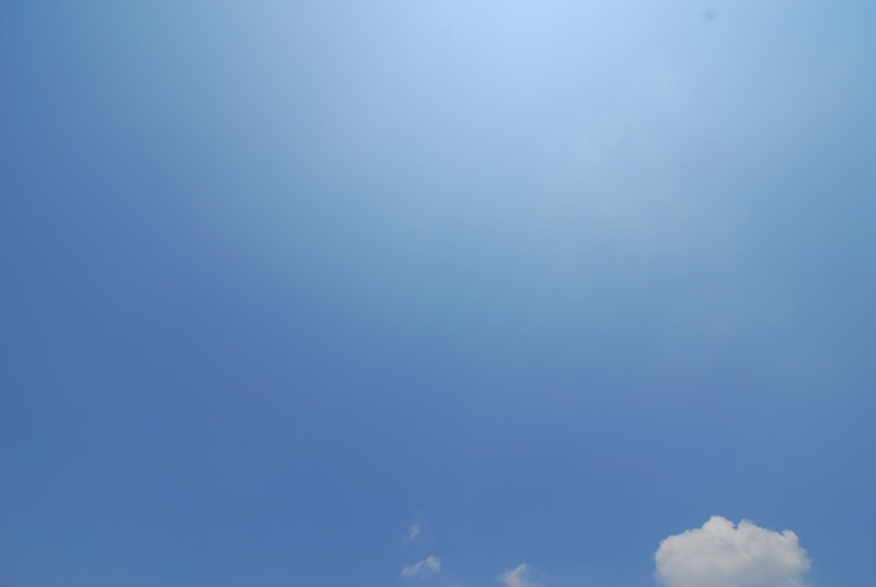 <b>PRO1Dプロテクター（W）のみ装着</b>