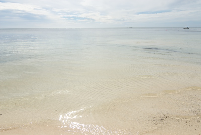 <b>一応お約束でPL効果の作例。一般的にPLフィルターを使わないことが多い、超広角域で試してみた。左がPRO1DサーキュラーPLスーパースリム装着時、右が非装着時</b>