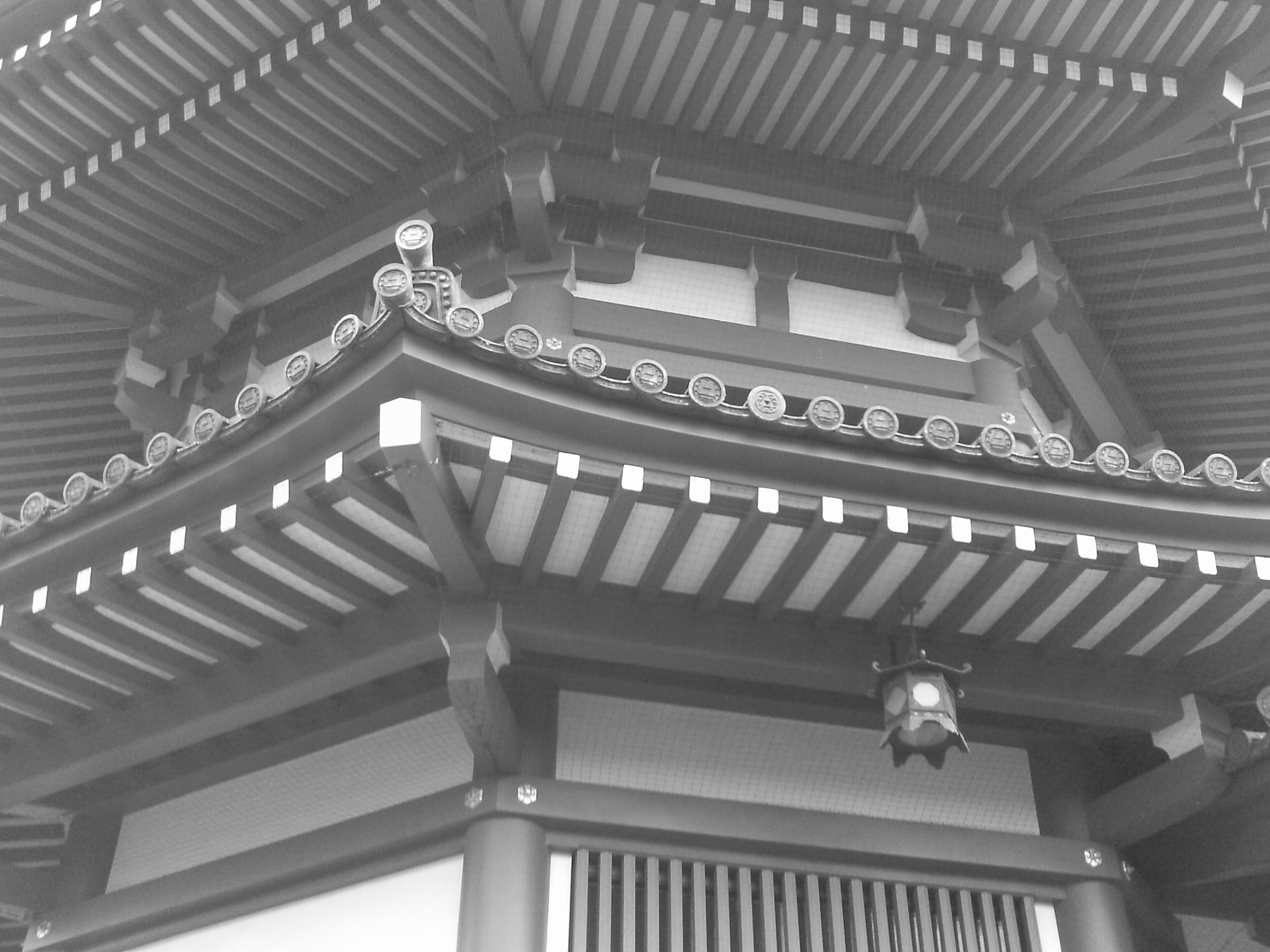 <b>白黒<br>EZ Digital F537IR / 2,592×1,944 / 1/25秒 / F3.2 / 0EV / ISO55 / WB:オート / 5mm</b>