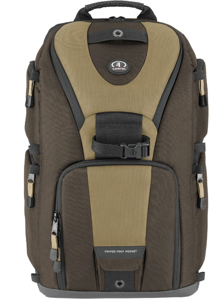 <b>ブラウン&amp;タン</b>