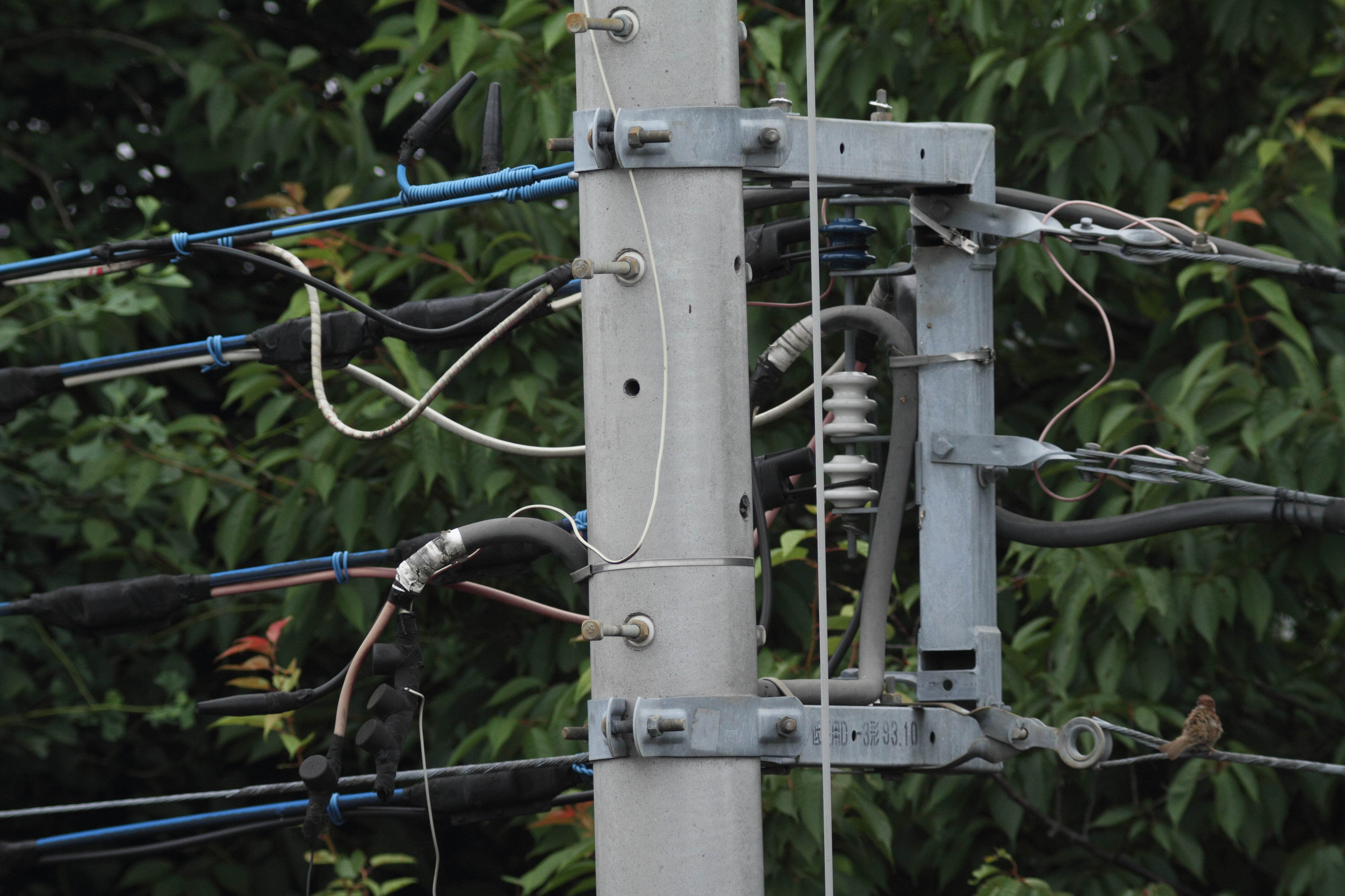 <b>77EDII<br>EOS 7D / 5,184×3,456 / 1/1,000秒 / -0.3EV / ISO400 / 絞り優先AE / WB:オート</b>