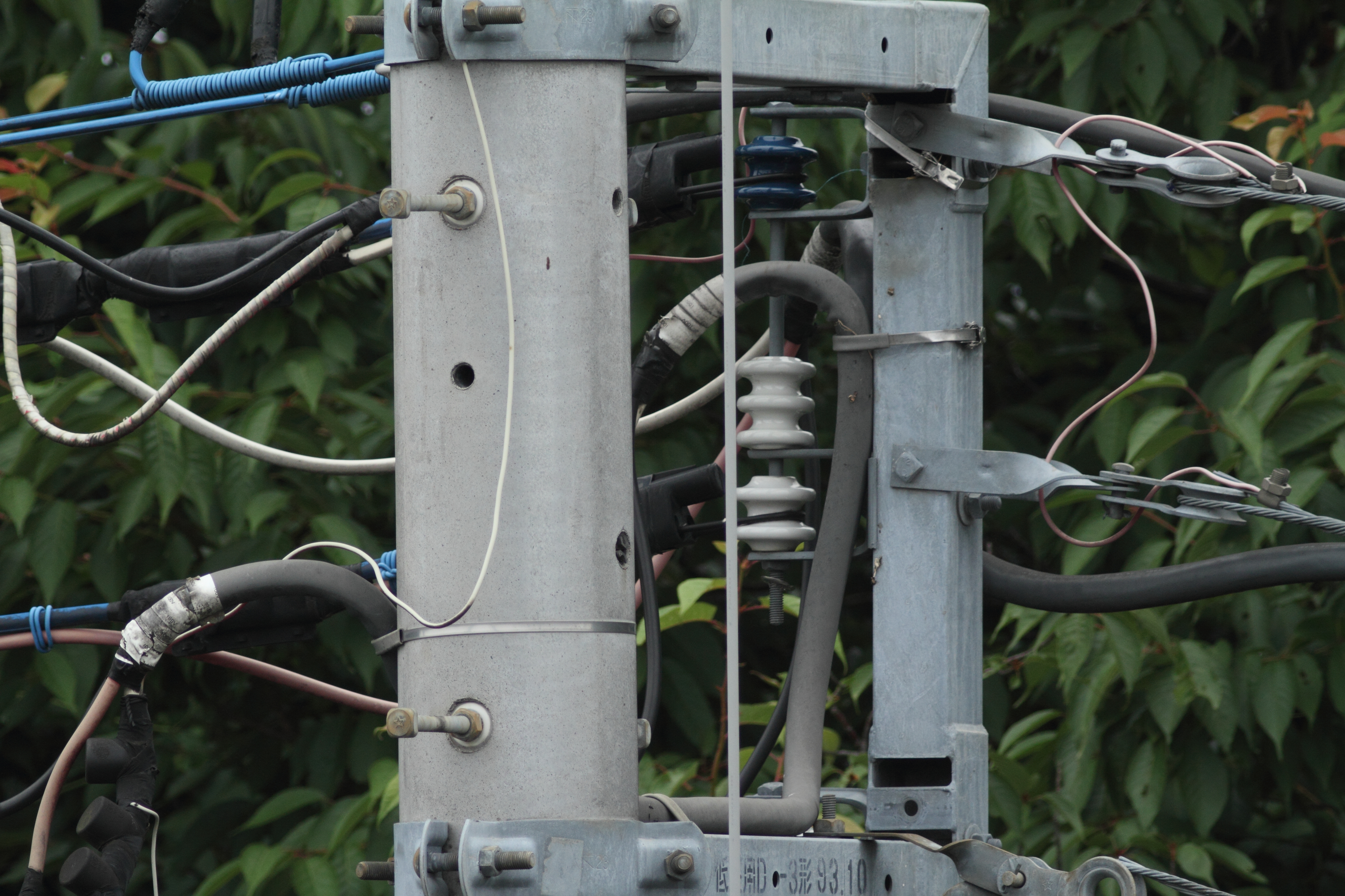 <b>77EDII+1.4倍テレコンバーターGR<br>EOS 7D / 5,184×3,456 / 1/400秒 / 0EV / ISO400 / 絞り優先AE / WB:オート</b>