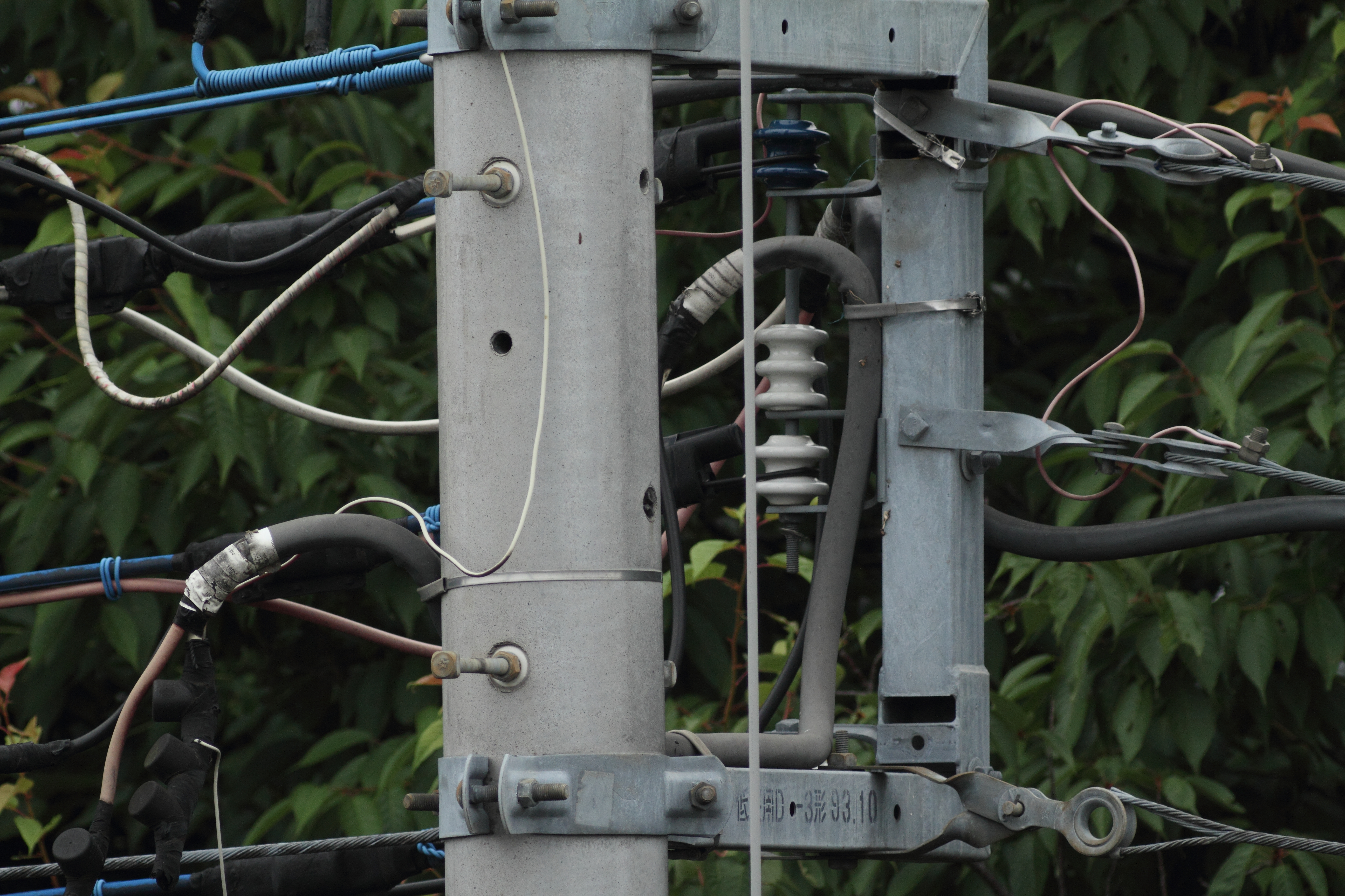 <b>77EDII+1.4倍テレコンバーターDG<br>EOS 7D / 5,184×3,456 / 1/640秒 / -0.3EV / ISO400 / 絞り優先AE / WB:オート</b>