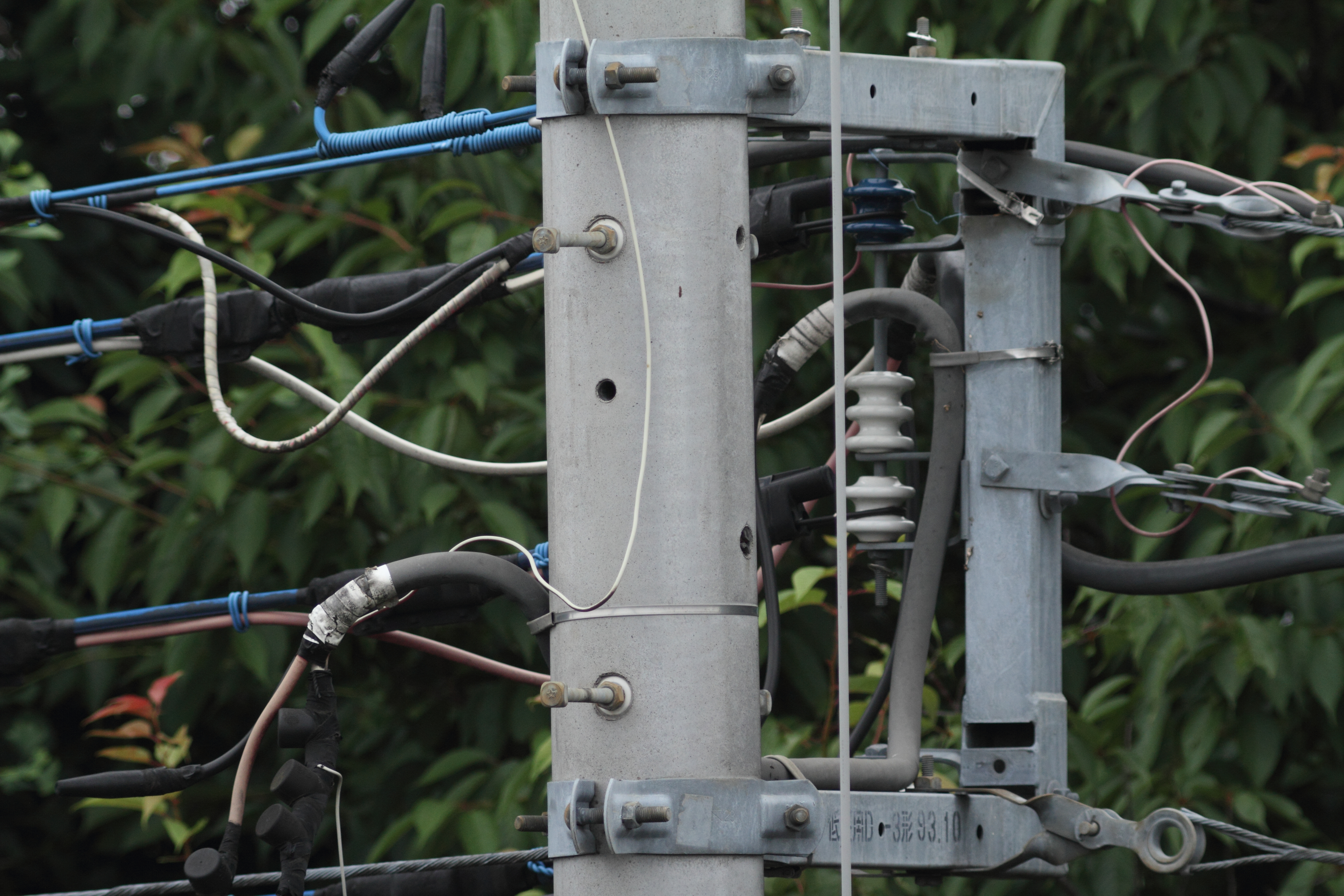 <b>101EDII<br>EOS 7D / 5,184×3,456 / 1/1,000秒 / -0.3EV / ISO400 / 絞り優先AE / WB:オート</b>