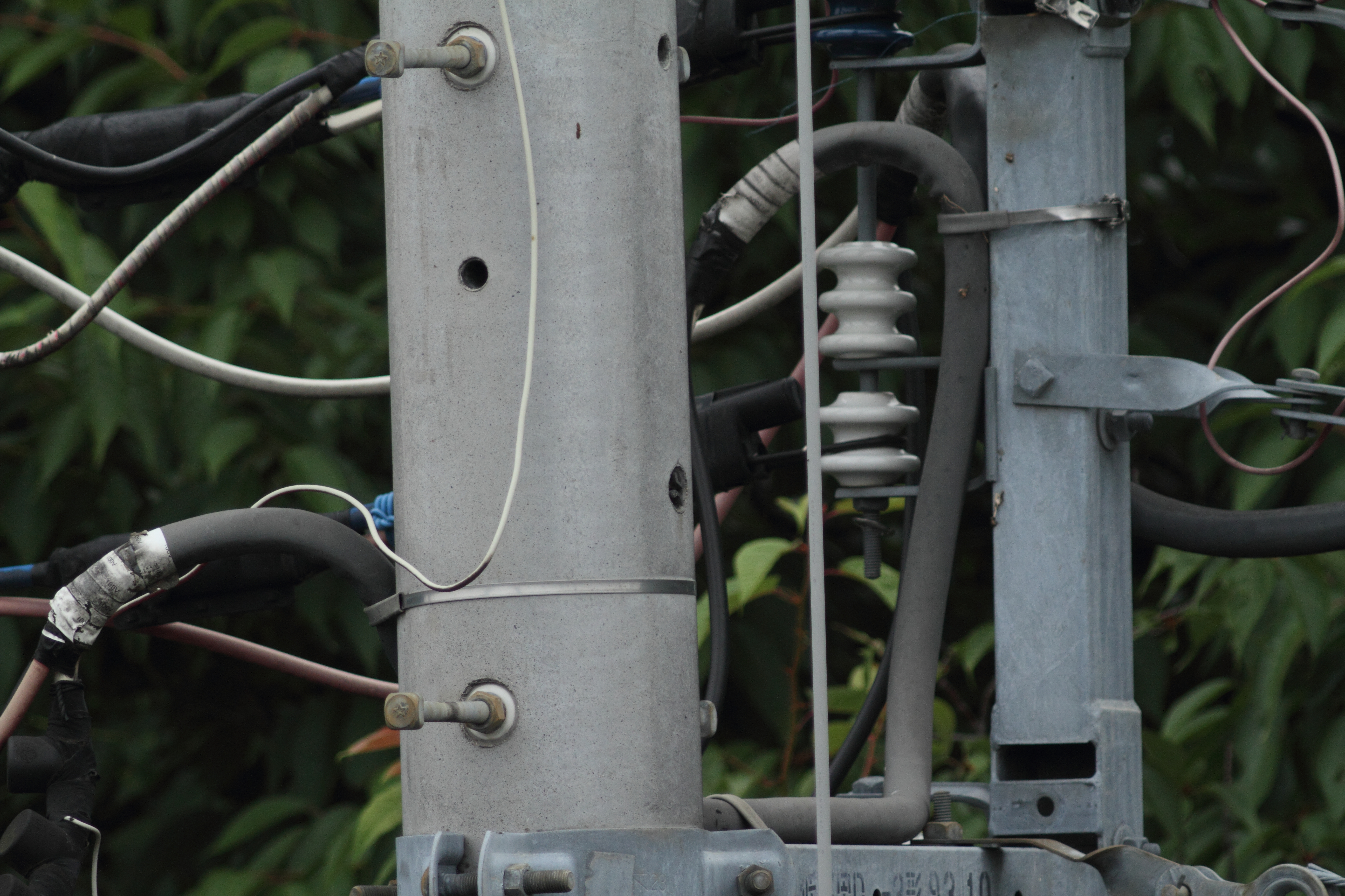 <b>101EDII+1.4倍テレコンバーターGR<br>EOS 7D / 5,184×3,456 / 1/500秒 / -0.3EV / ISO400 / 絞り優先AE / WB:オート</b>