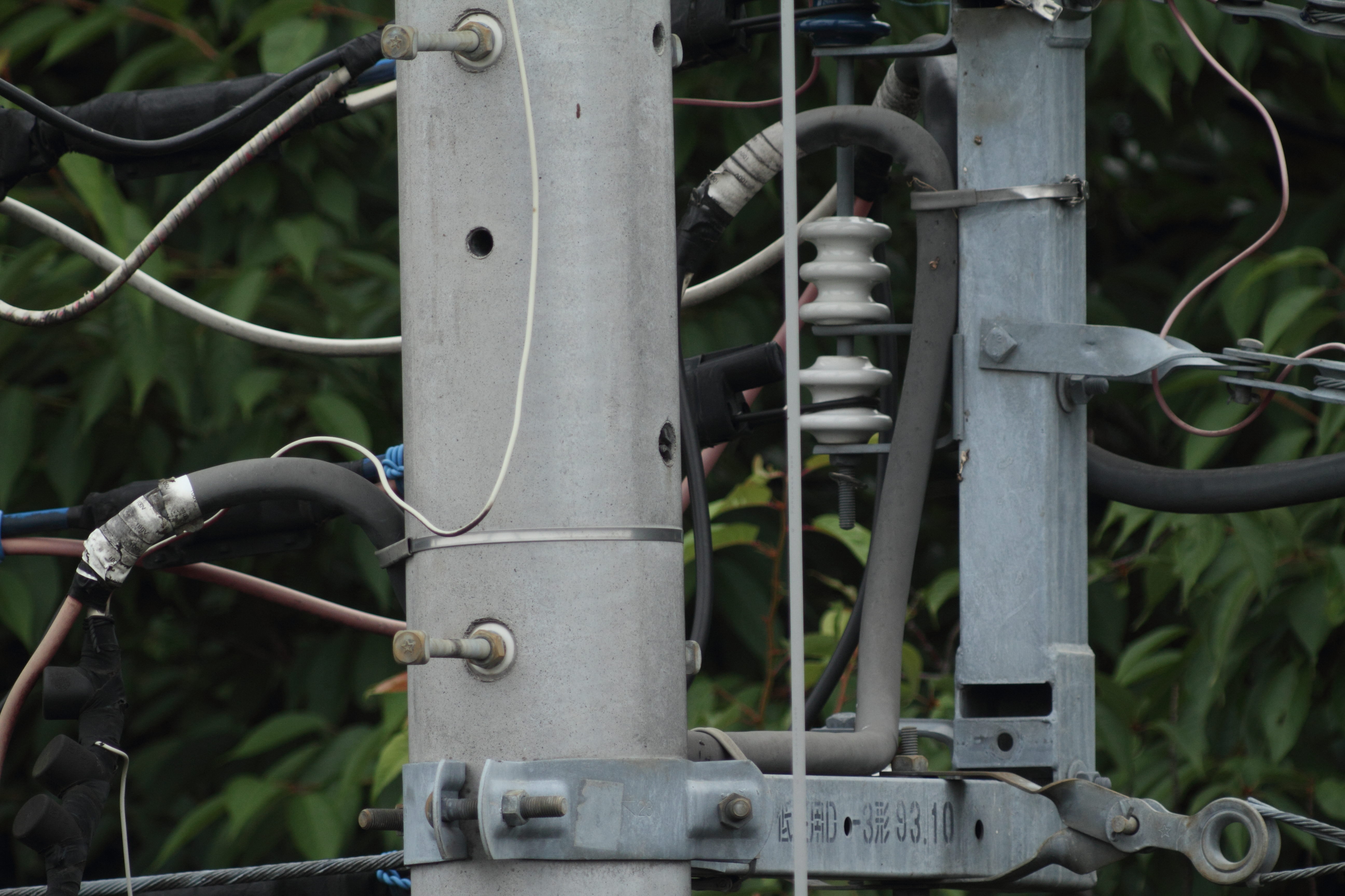 <b>101EDII+1.4倍テレコンバーターDG<br>EOS 7D / 5,184×3,456 / 1/400秒 / -0.3EV / ISO400 / 絞り優先AE / WB:オート</b>