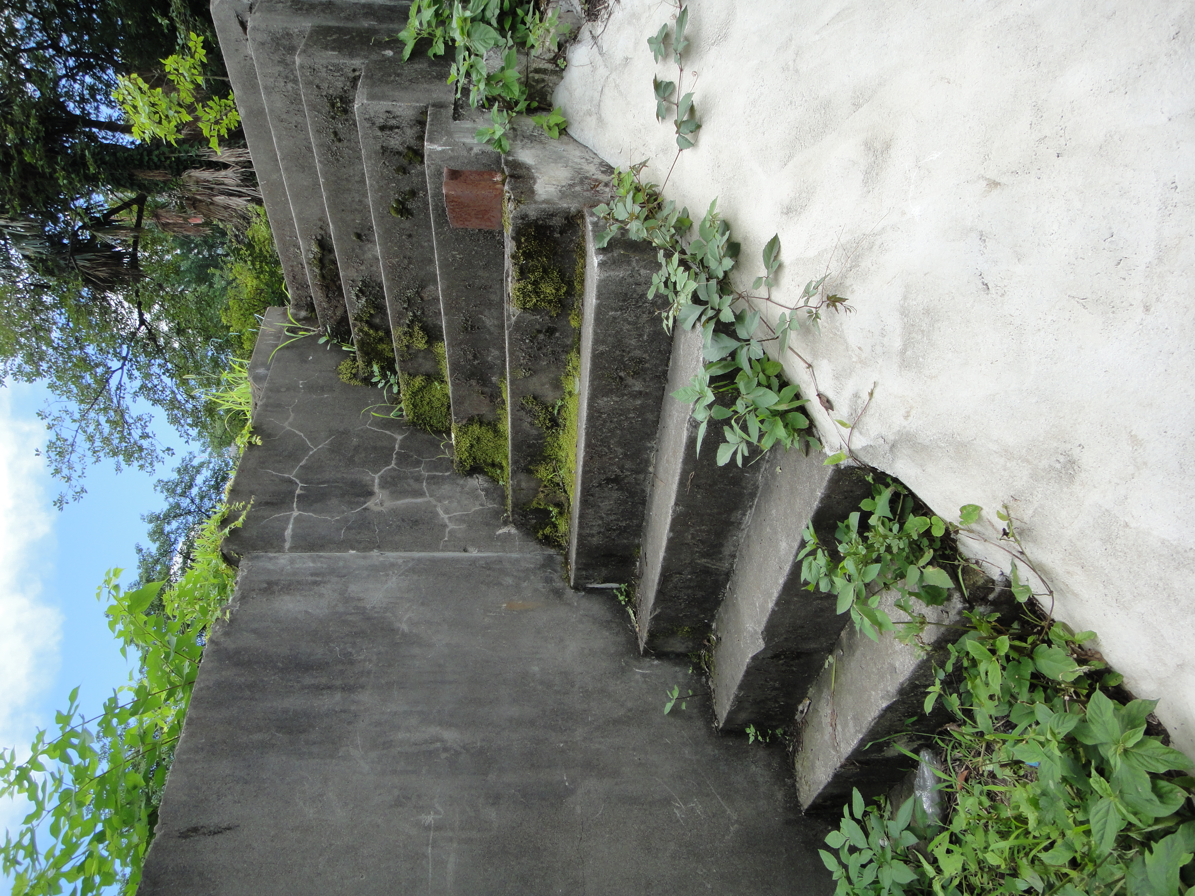 <b>これは単純に建ってた家が取り壊されたあと。なんだか廃墟っぽく見える。新宿区にこういう場所があること自体が驚きかも<br>4,000×3,000 / 1/250秒 / F4.5 / -0.3EV / ISO125 / WB:オート / 4.43mm（25mm相当）</b>