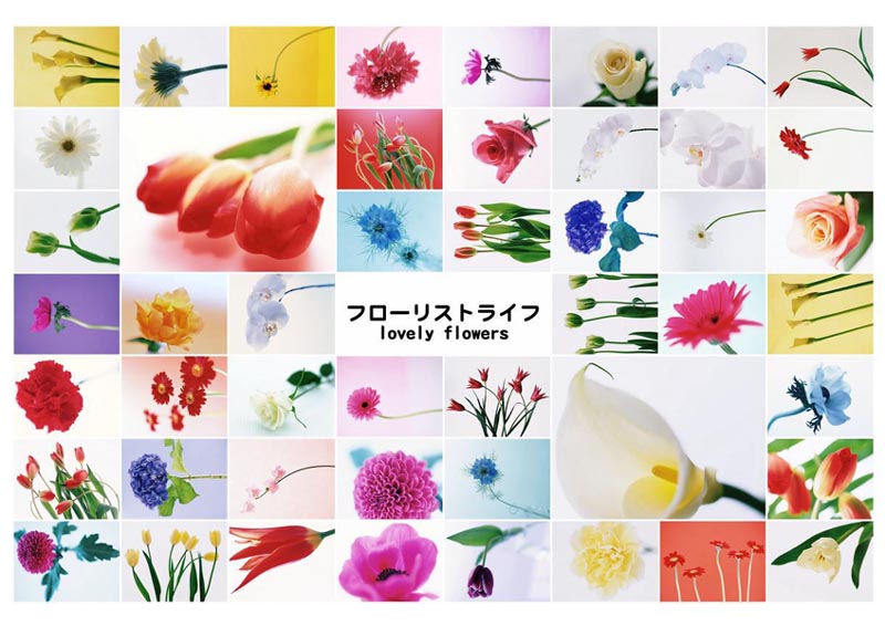 <b>シャッフルプリントの例</b>