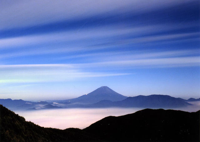 <b>(c)荒井一利</b>