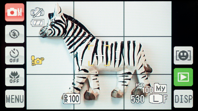 <b>AFを「センター固定」にしているときの画面。この状態でシャッターボタンを半押しすると……</b>