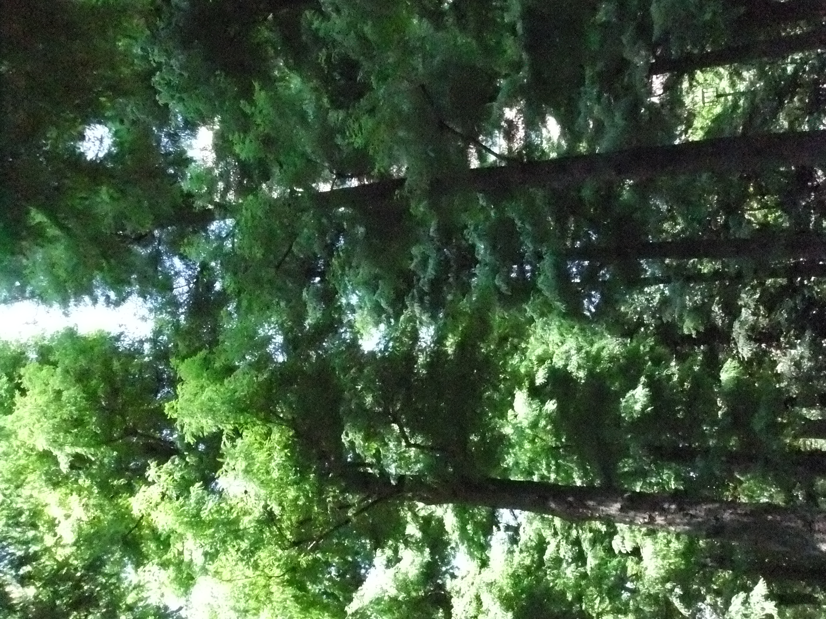 <b>ISO3200<br>2,816×2,112 / 1/480秒 / F6.4 / -0.7EV / WB:オート / 6.4mm（35mm相当）</b>