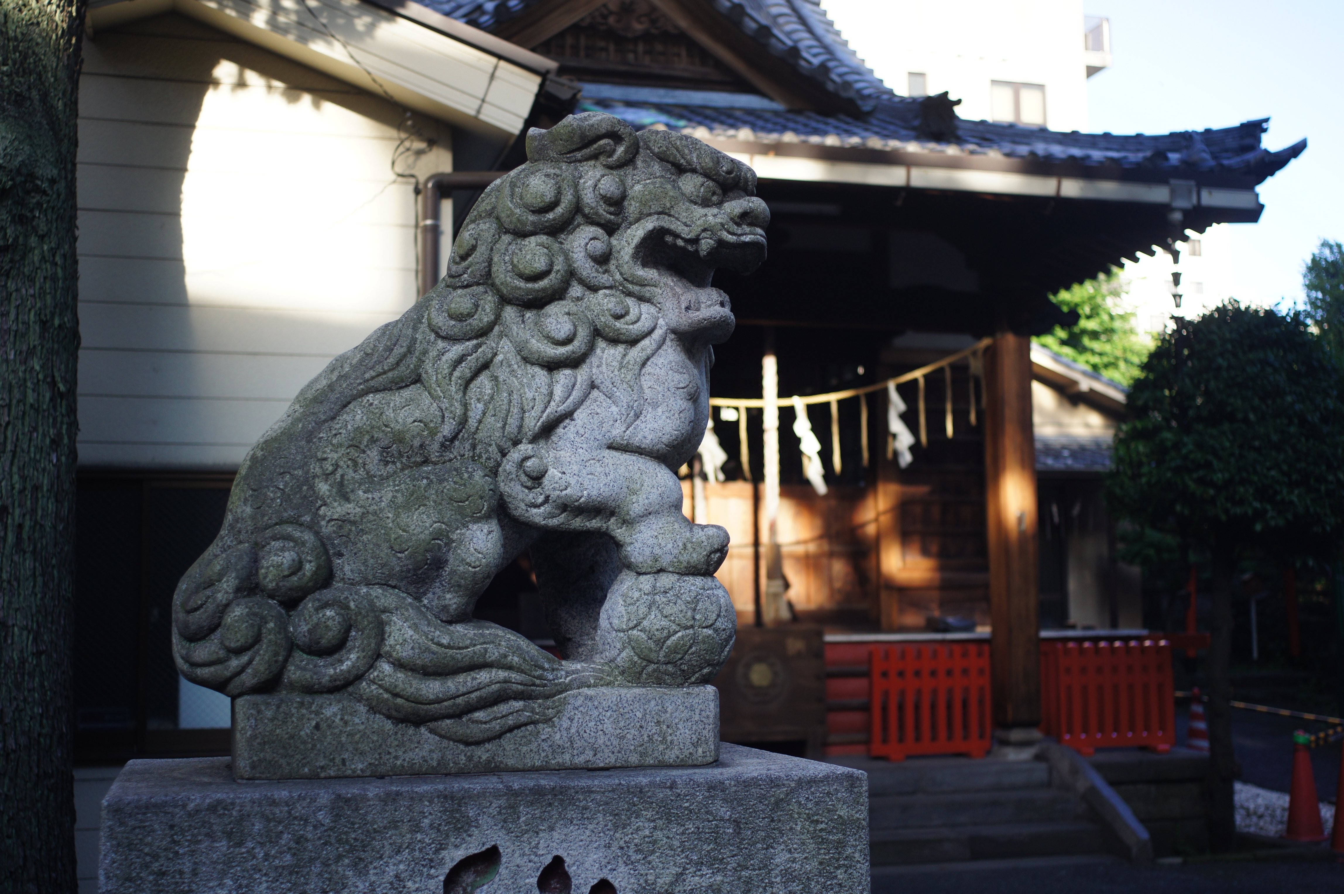 <b>NEX-5 / Mロッコール28mm F2.8 / 約4.8MB / 4,592×3,056 / 1/320秒 / F2.8 / 0EV / ISO200 / WB:オート / クリエイティブスタイル：ビビッド / DROオート</b>