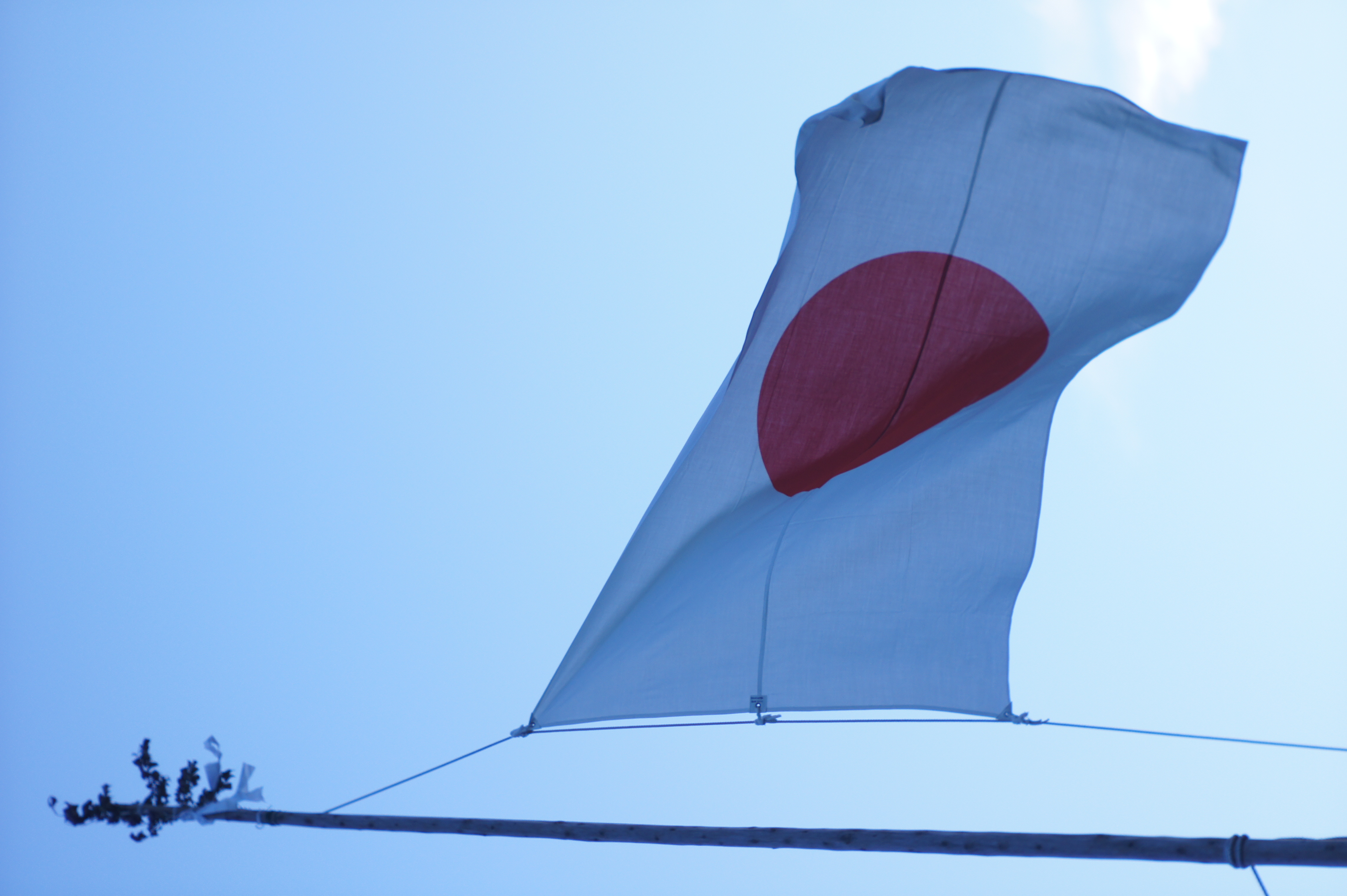 <b>NEX-5 / キヤノンレンズ50mm F0.95 / 約2.8MB / 3,056×4,592 / 1/320秒 / F0.95 / +2.0EV / ISO200 / WB:オート / クリエイティブスタイル：スタンダード / DROオート</b>