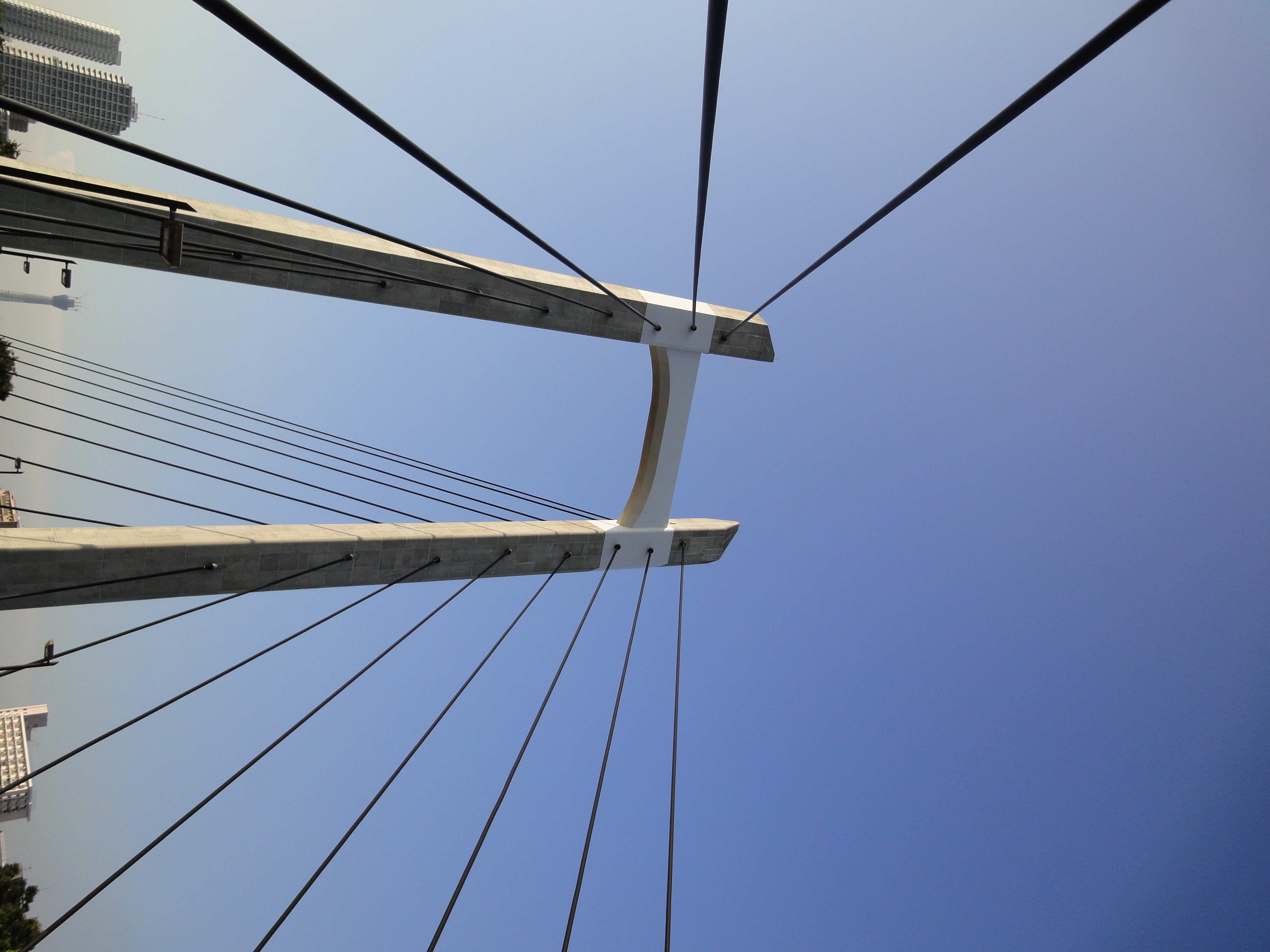 <b>広角端<br>DSC-WX5 / 約4.1MB / 3,000×4,000 / 1/320秒 / F7.1 / 0EV / ISO125 / WB:オート / 4.2mm</b>