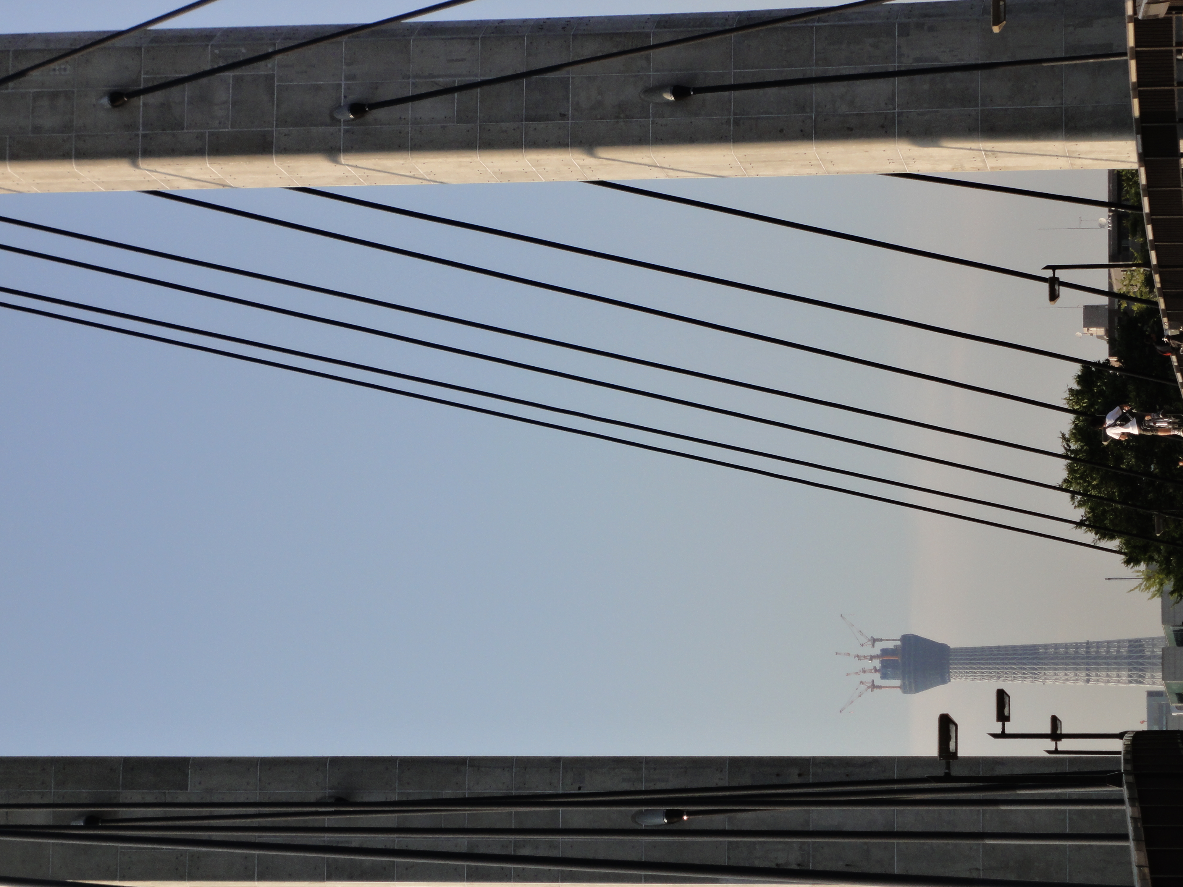 <b>望遠端<br>DSC-WX5 / 約4.1MB / 3,000×4,000 / 1/640秒 / F5.9 / 0EV / ISO125 / WB:オート / 21.2mm</b>