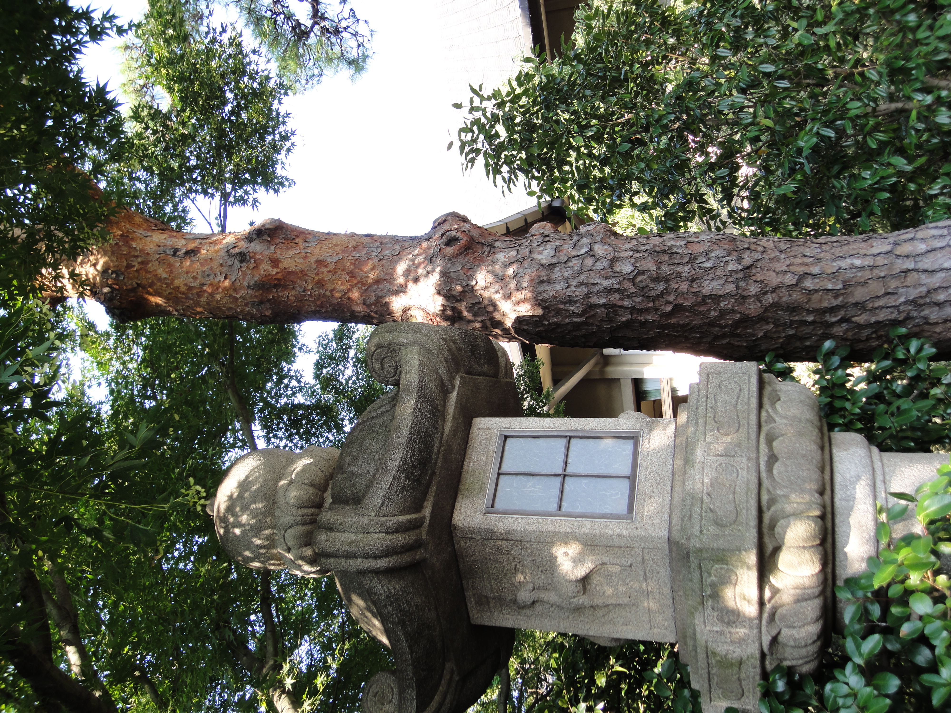 <b>DSC-WX5 / 約5.0MB / 3,000×4,000 / 1/160秒 / F2.8 / 0EV / ISO125 / WB:オート / 5.8mm</b>