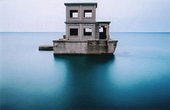 <i><b>(c)幡野広志</b></i>