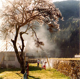 <b>(c)高橋あい</b>