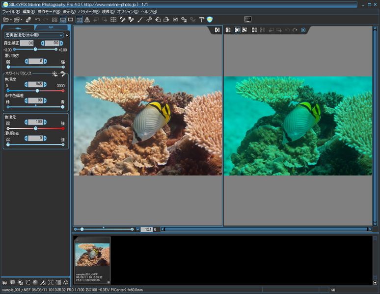 <b>SILKYPIX Marine Photography Pro 4.0</b>