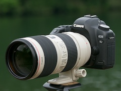 交換レンズ実写ギャラリー：キヤノン「EF 70-200mm F2.8 L IS II USM