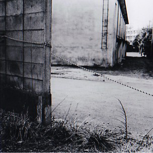 <b>（c）島崎邦右</b>