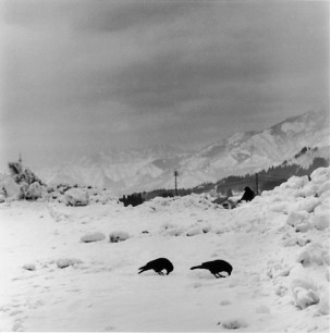 <b>（c）鷲尾倫夫</b>