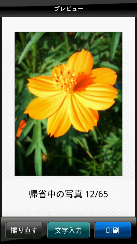 <b>フレームにはテキストや日付の入力が可能</b>