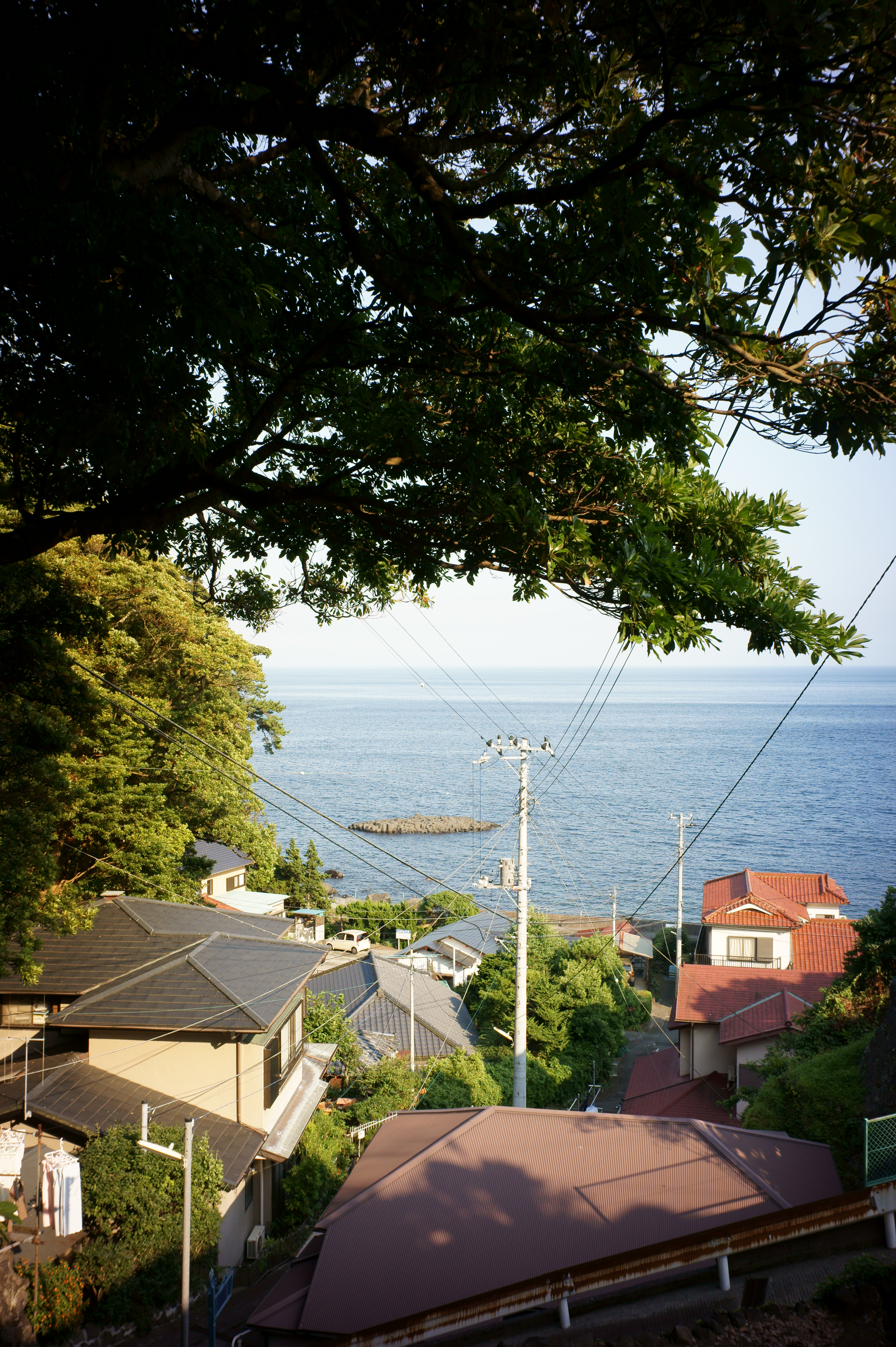 <b>NEX-5 / Gビオゴン T* 21mm F2.8 / 4,592×3,056 / 1/125秒 / F8 / +0.7EV / ISO200 / WB:オート / 21mm</b>