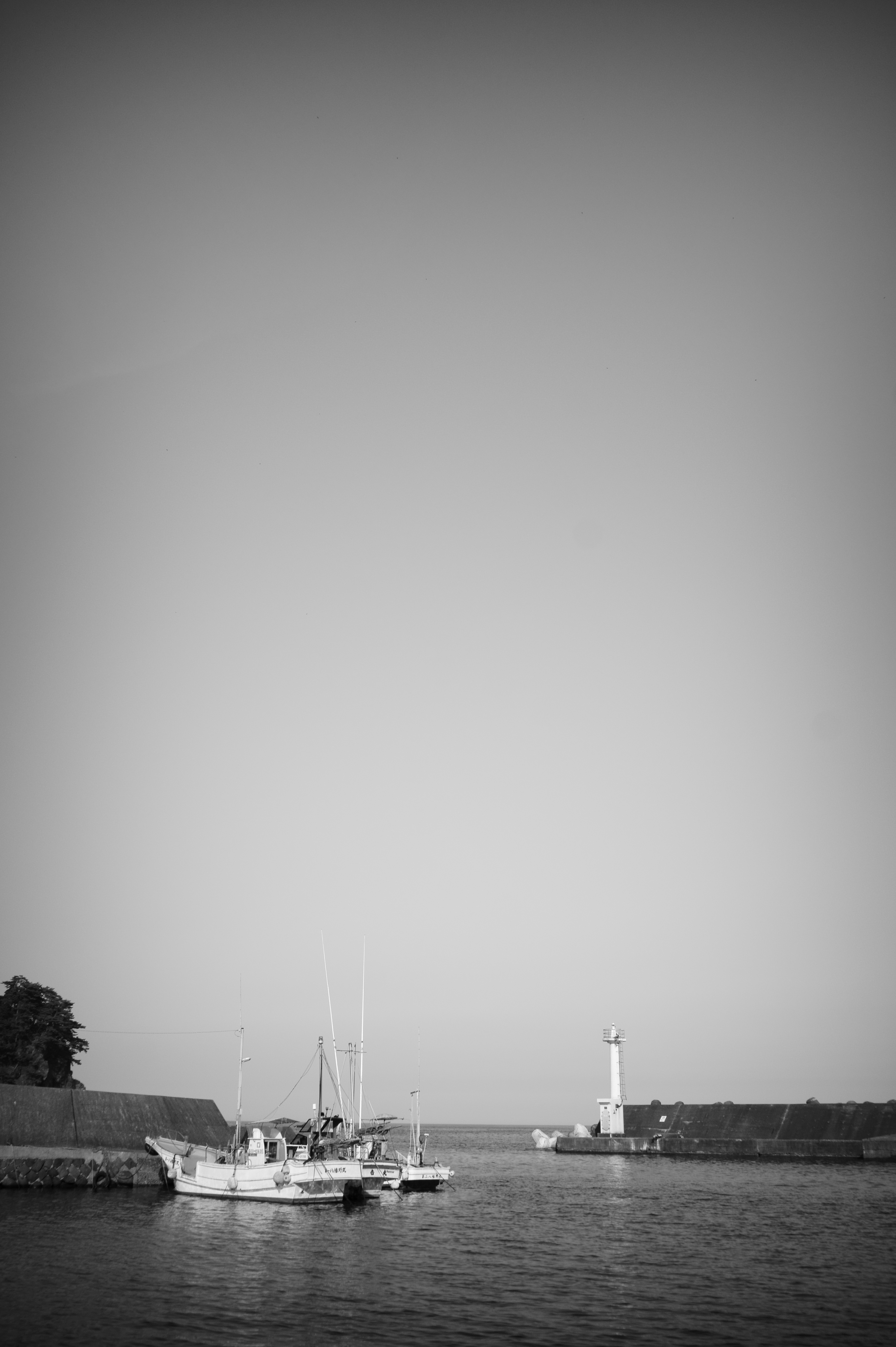 <b>NEX-5 / Gビオゴン T* 21mm F2.8 / 4,592×3,056 / 1/320秒 / F2.8 / +0.7EV / ISO200 / WB:オート / 21mm</b>