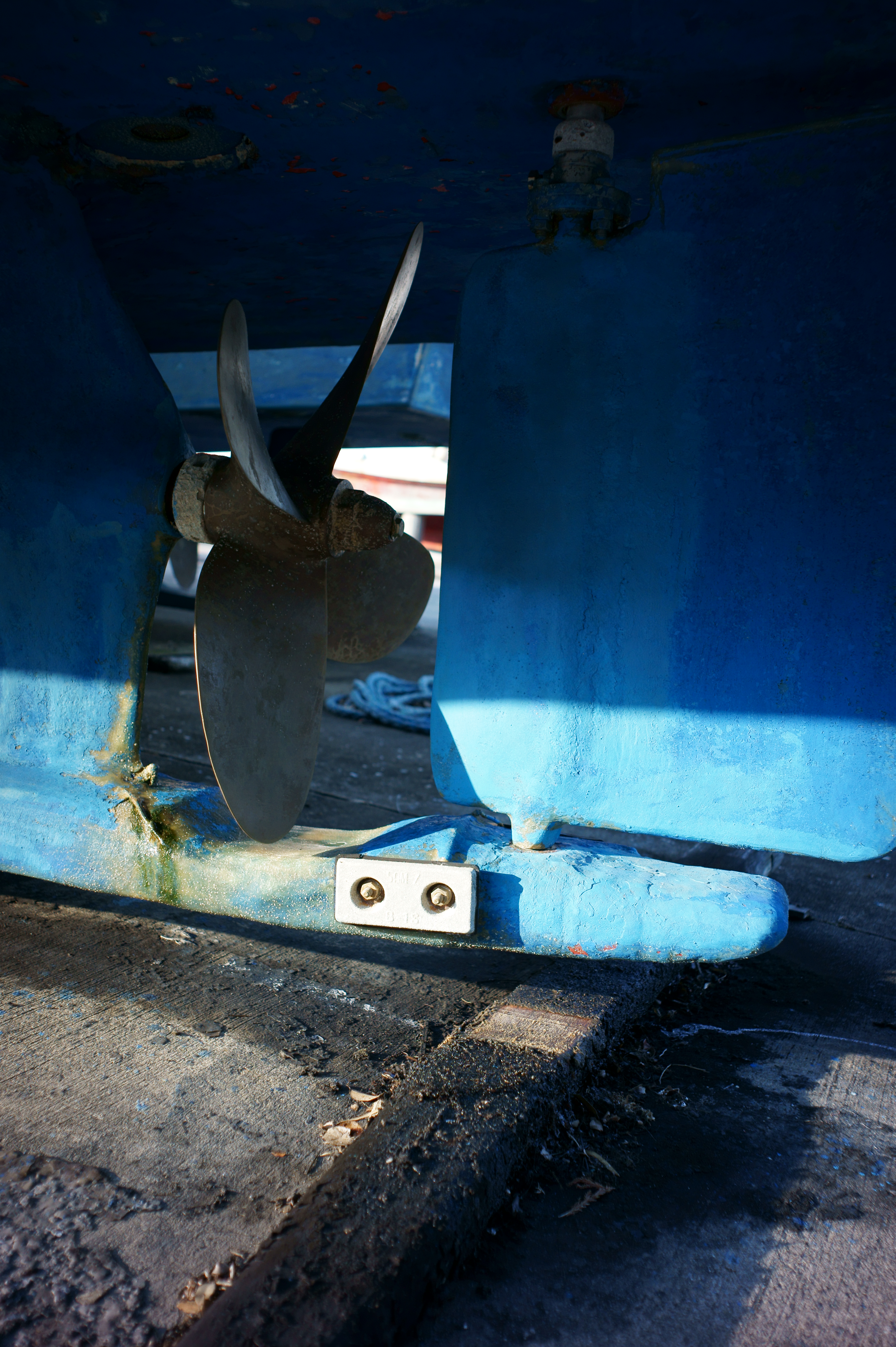 <b>NEX-5 / Gビオゴン T* 21mm F2.8 / 4,592×3,056 / 1/400秒 / F2.8 / 0EV / ISO200 / WB:オート / 21mm</b>