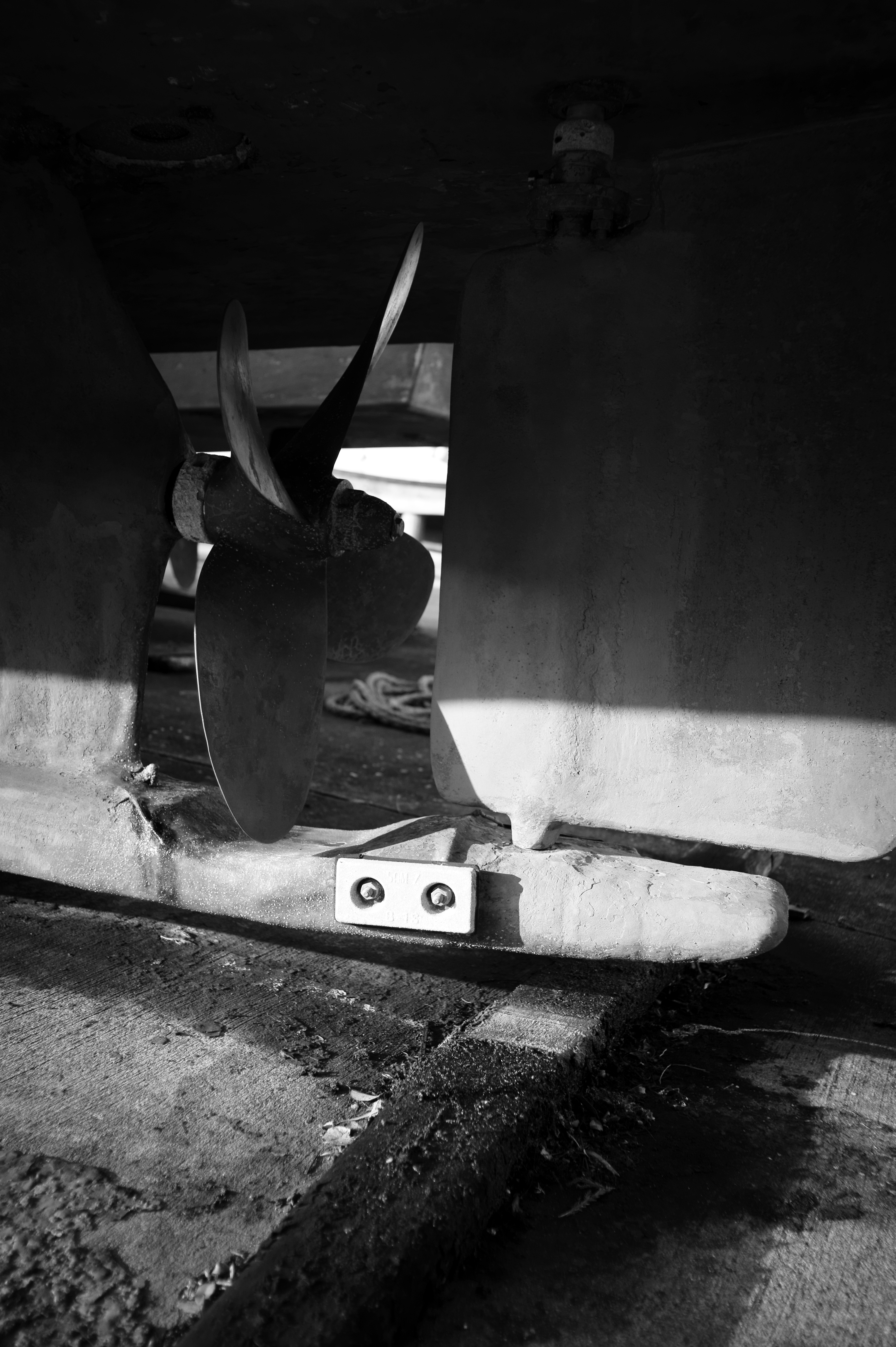 <b>NEX-5 / Gビオゴン T* 21mm F2.8 / 4,592×3,056 / 1/400秒 / F2.8 / 0EV / ISO200 / WB:オート / 21mm</b>