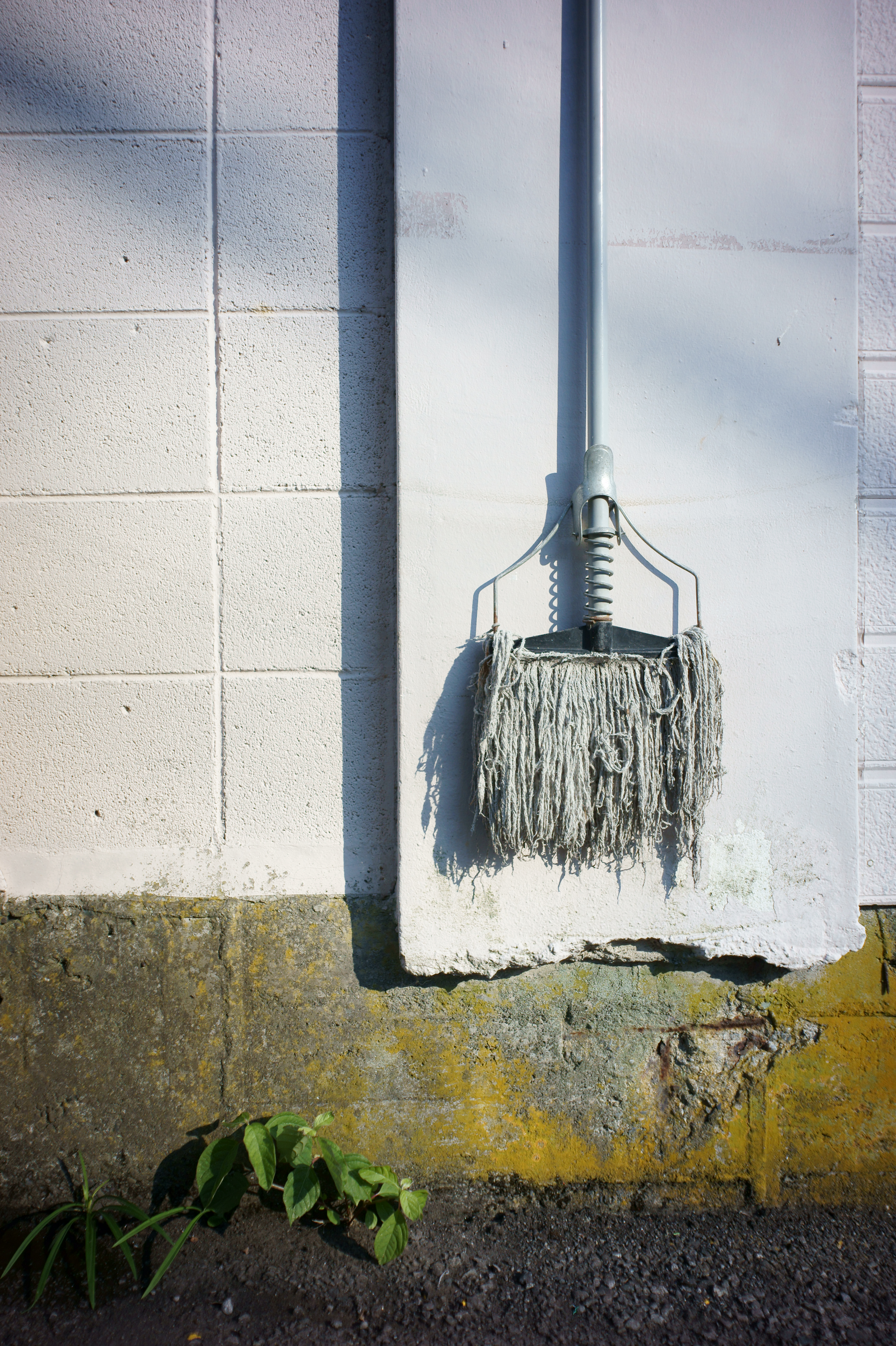 <b>NEX-5 / Gビオゴン T* 21mm F2.8 / 4,592×3,056 / 1/1,600秒 / F2.8 / +0.7EV / ISO200 / WB:オート / 21mm</b>