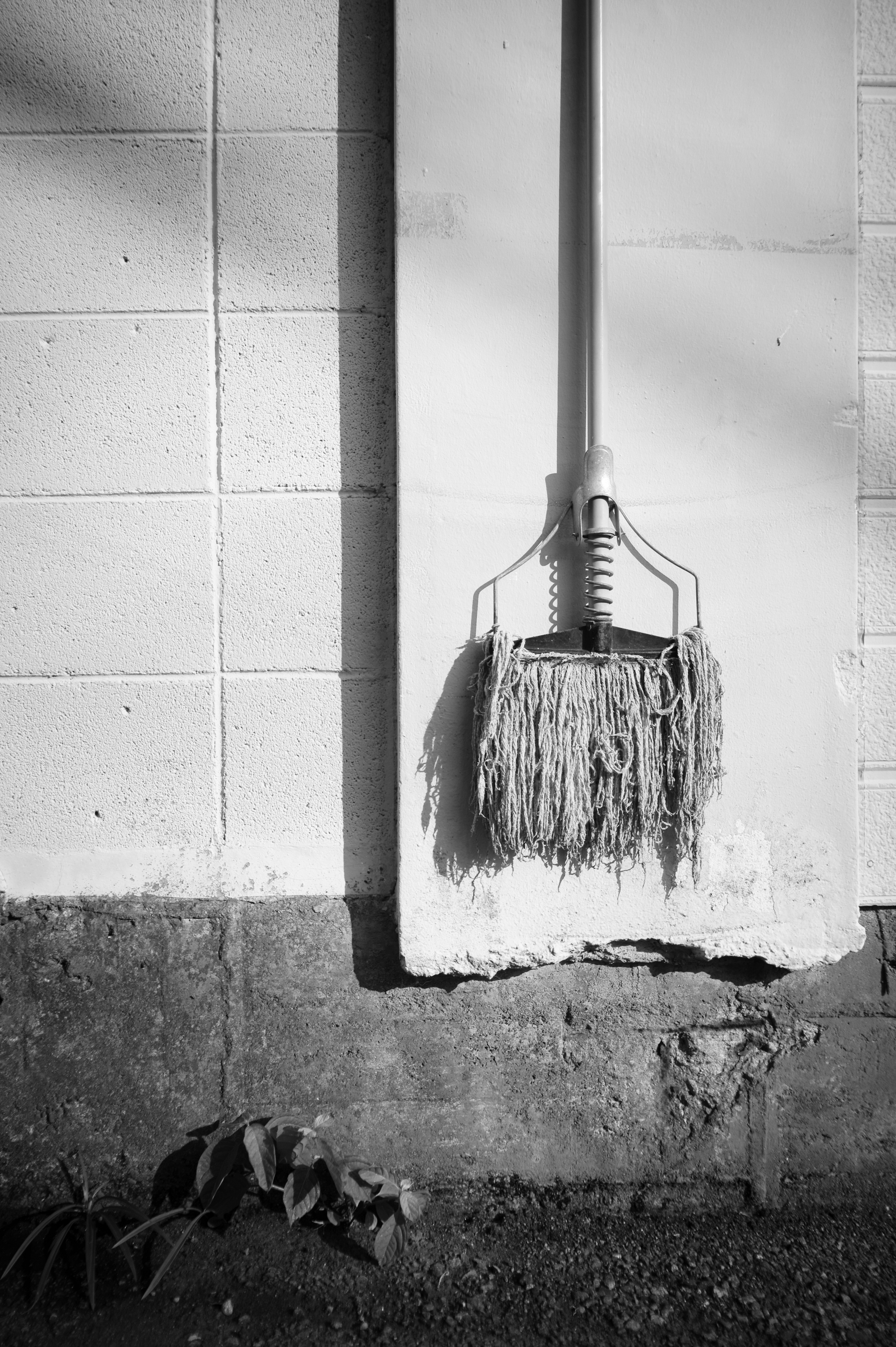 <b>NEX-5 / Gビオゴン T* 21mm F2.8 / 4,592×3,056 / 1/1,600秒 / F2.8 / +0.7EV / ISO200 / WB:オート / 21mm</b>