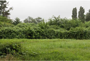 <b>「GOING BLANK AGAIN #1」42cm×28cm | 2008年（c）koichi nishiyama</b>