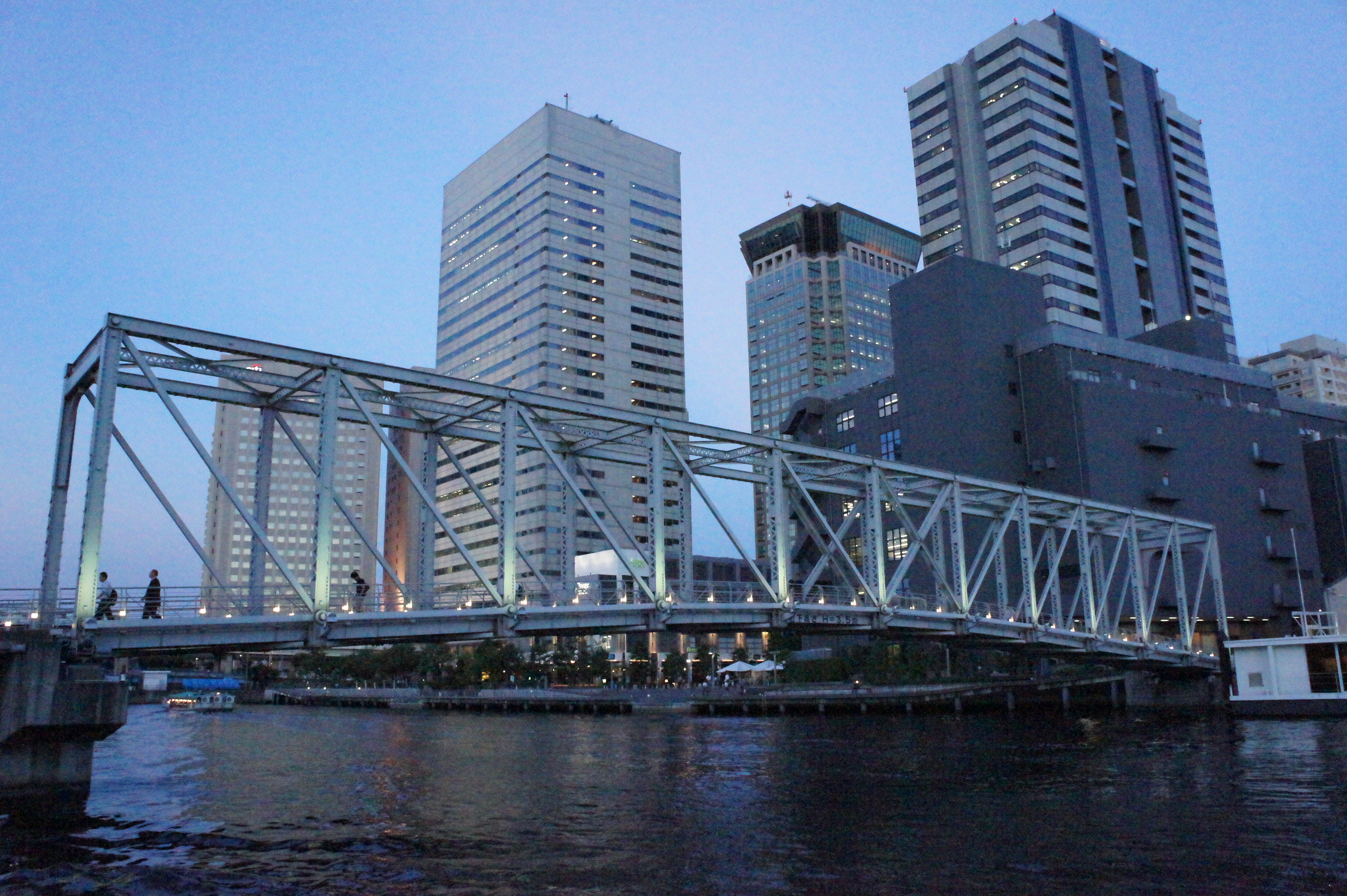 <b>NEX-5 / ISO12800</b>