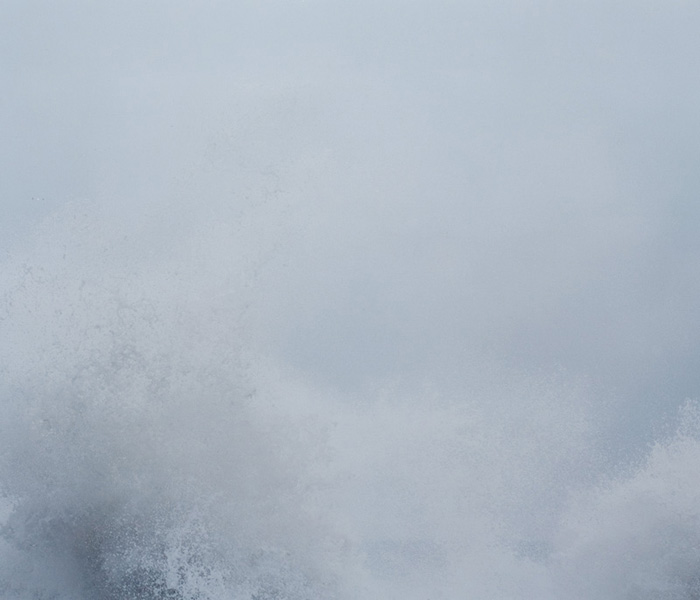 <b>(c)若林勇人</b>