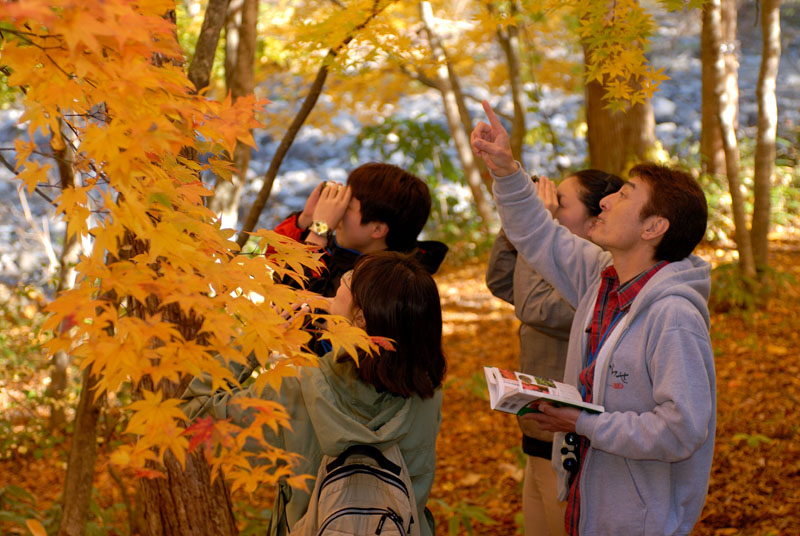 <b>ガイドによる撮影ポイント案内などを実施する</b>