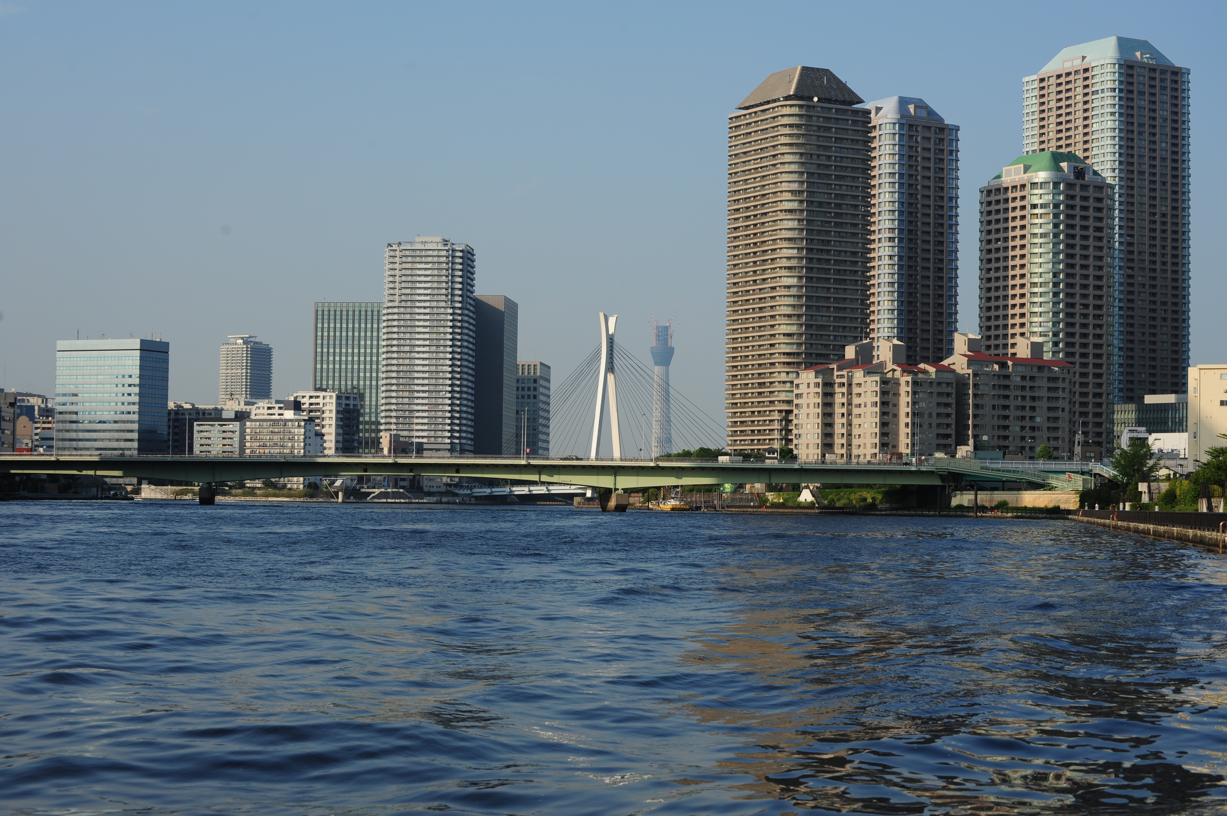 <b>D700 / SP 70-300mm F4-5.6 Di VC USD / 4,256×2,832 / 1/500秒 / F10 / -1.7EV / ISO200 / 絞り優先AE / WB:晴天 / 70mm</b>