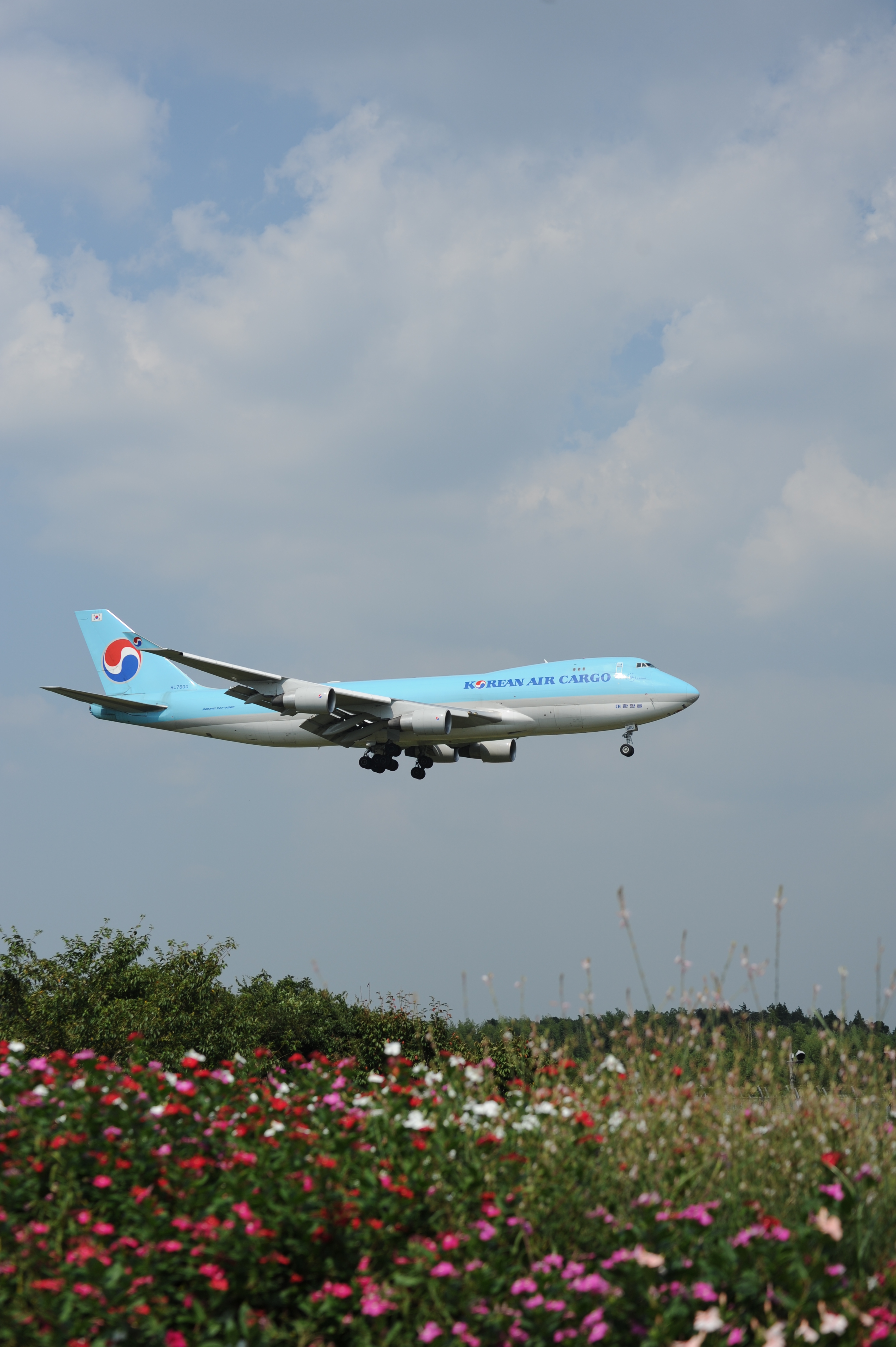 <b>D700 / SP 70-300mm F4-5.6 Di VC USD / 2,832×4,256 / 1/2,000秒 / F6.3 / -1EV / ISO200 / 絞り優先AE / WB:晴天 / 70mm</b>