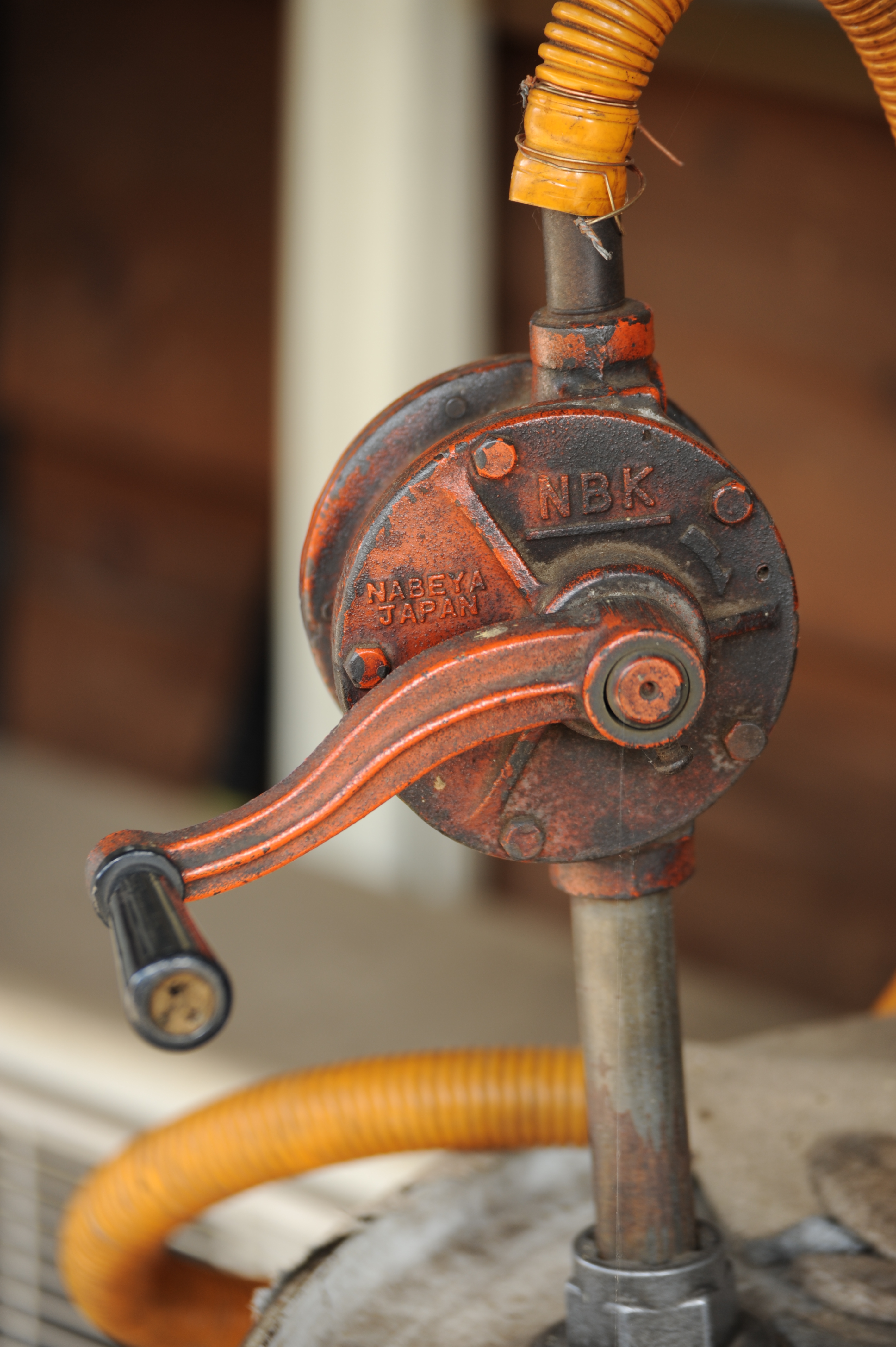 <b>D700 / SP 70-300mm F4-5.6 Di VC USD / 2,832×4,256 / 1/320秒 / F10 / -0.7EV / ISO200 / 絞り優先AE / WB:晴天 / 300mm</b>